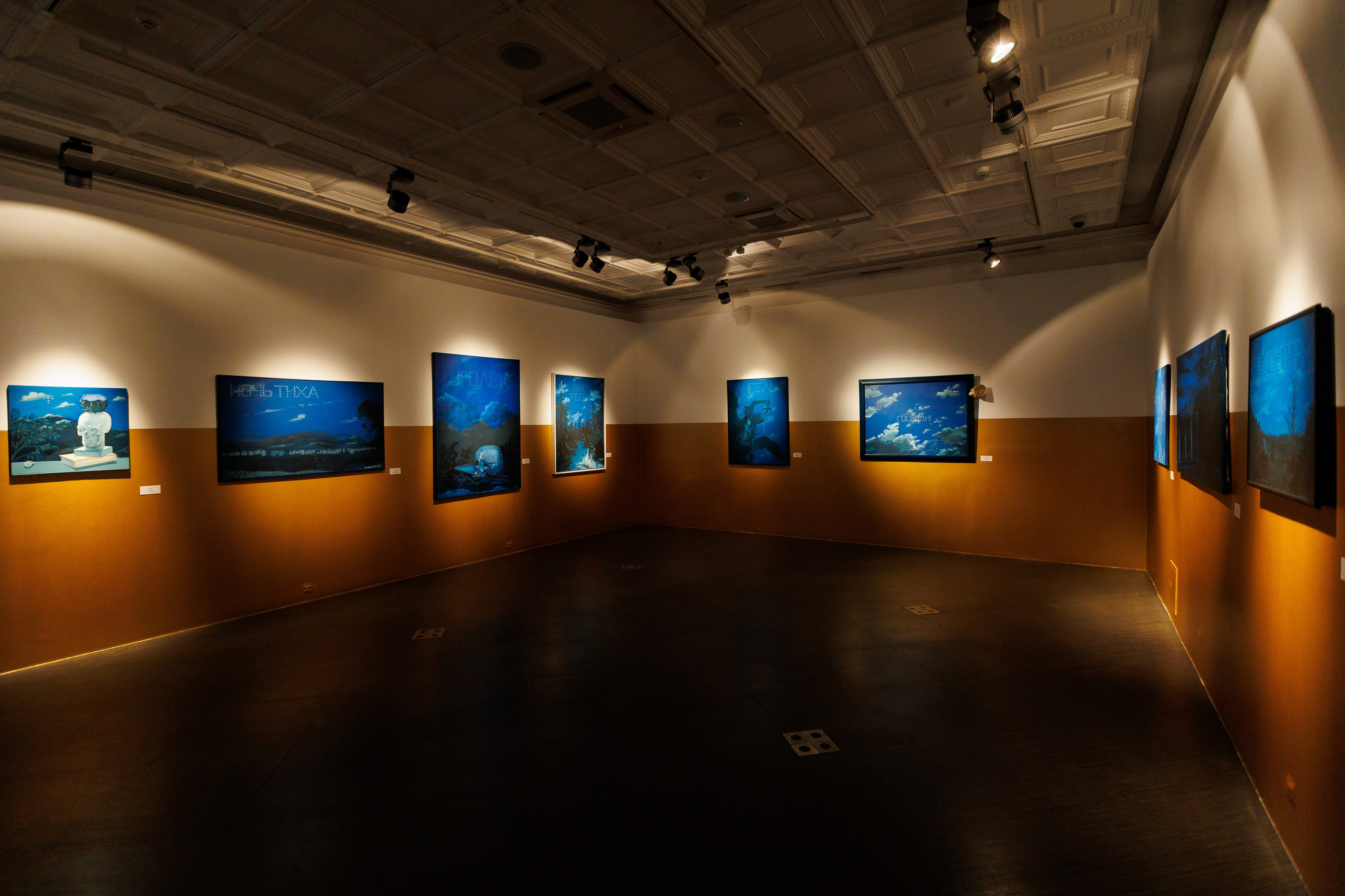 Открытите выставки Небесная География или разбор полетов Андрея Филиппова. Фотограф Иван Недорез