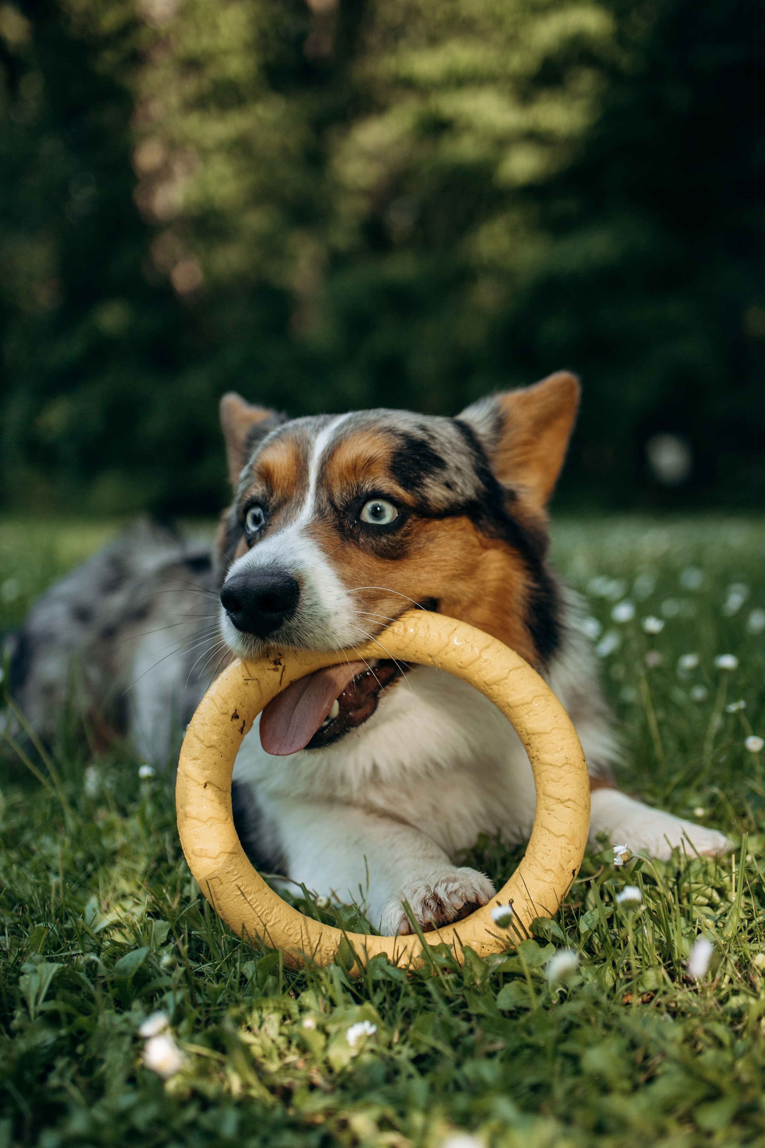 Евгения и Грей