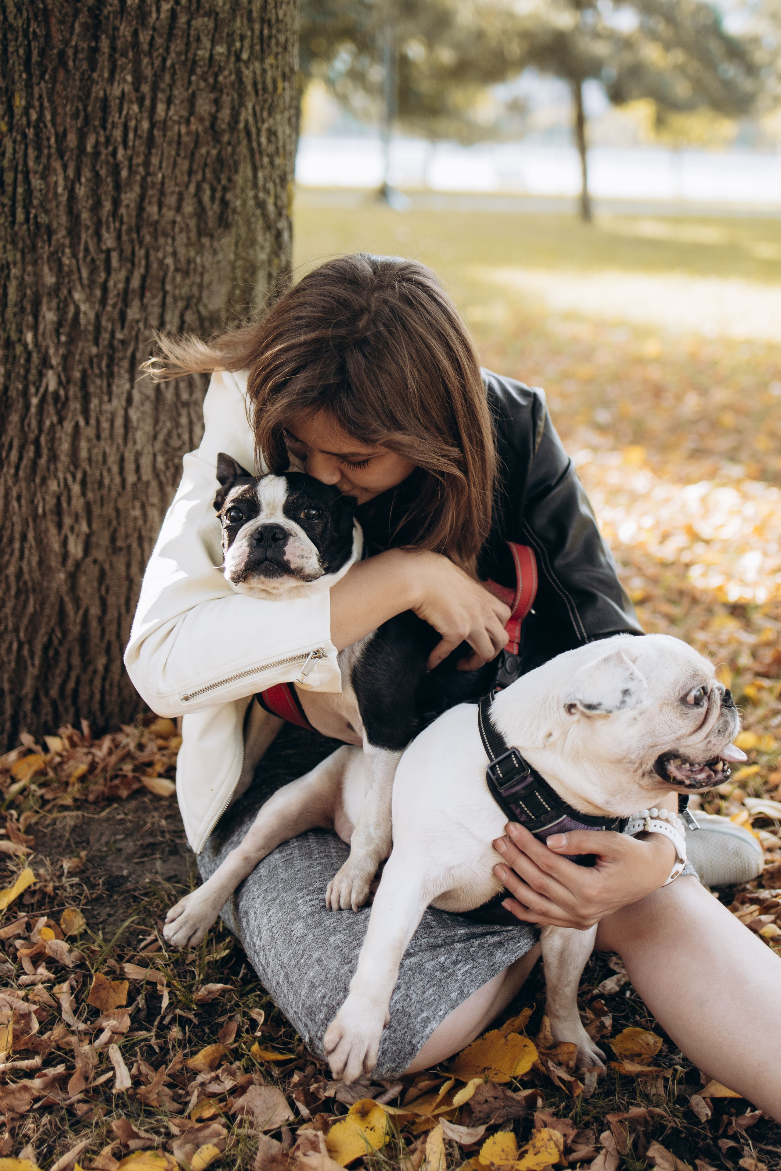 Оля и бульдоги