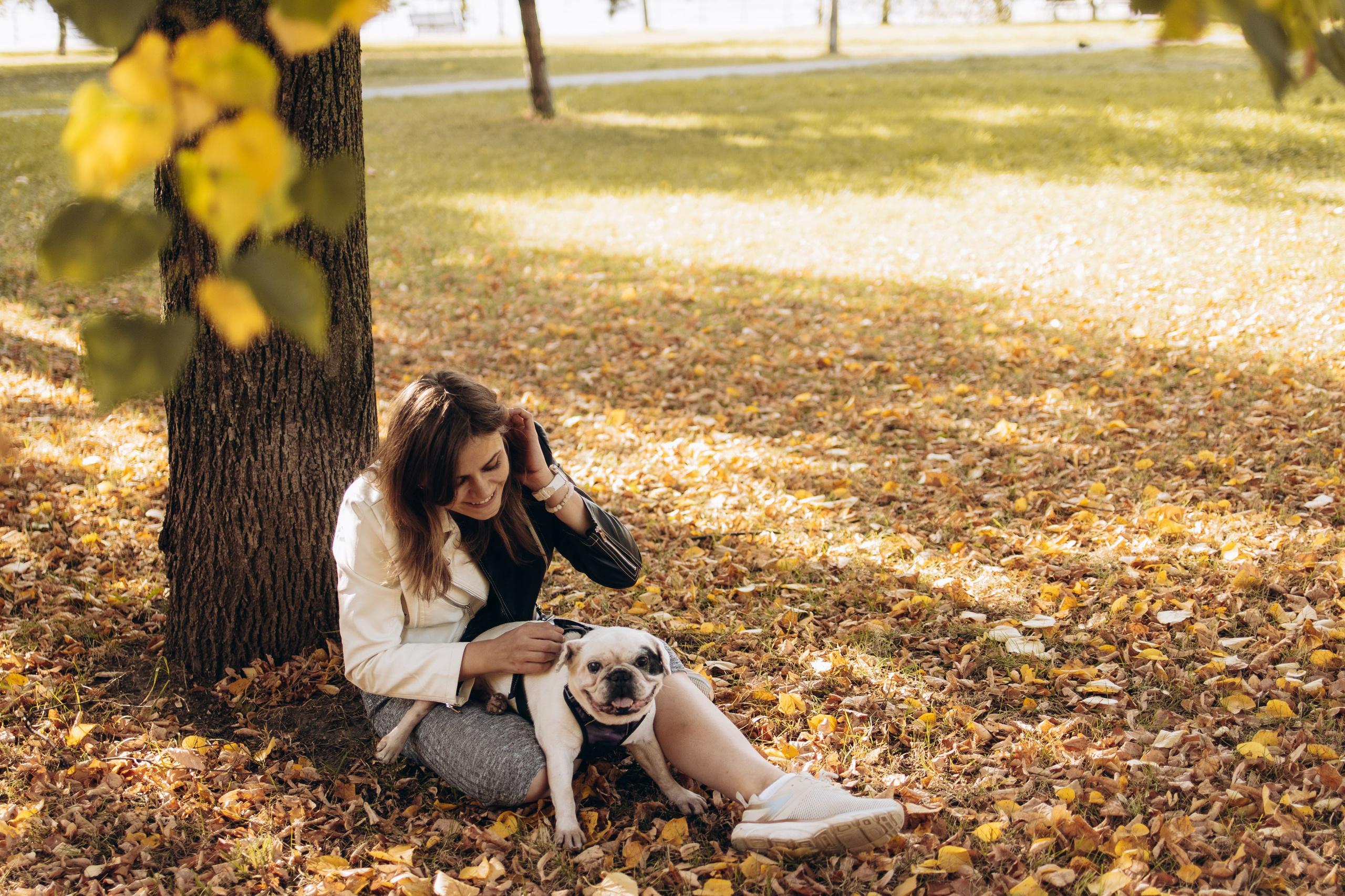 Оля и бульдоги