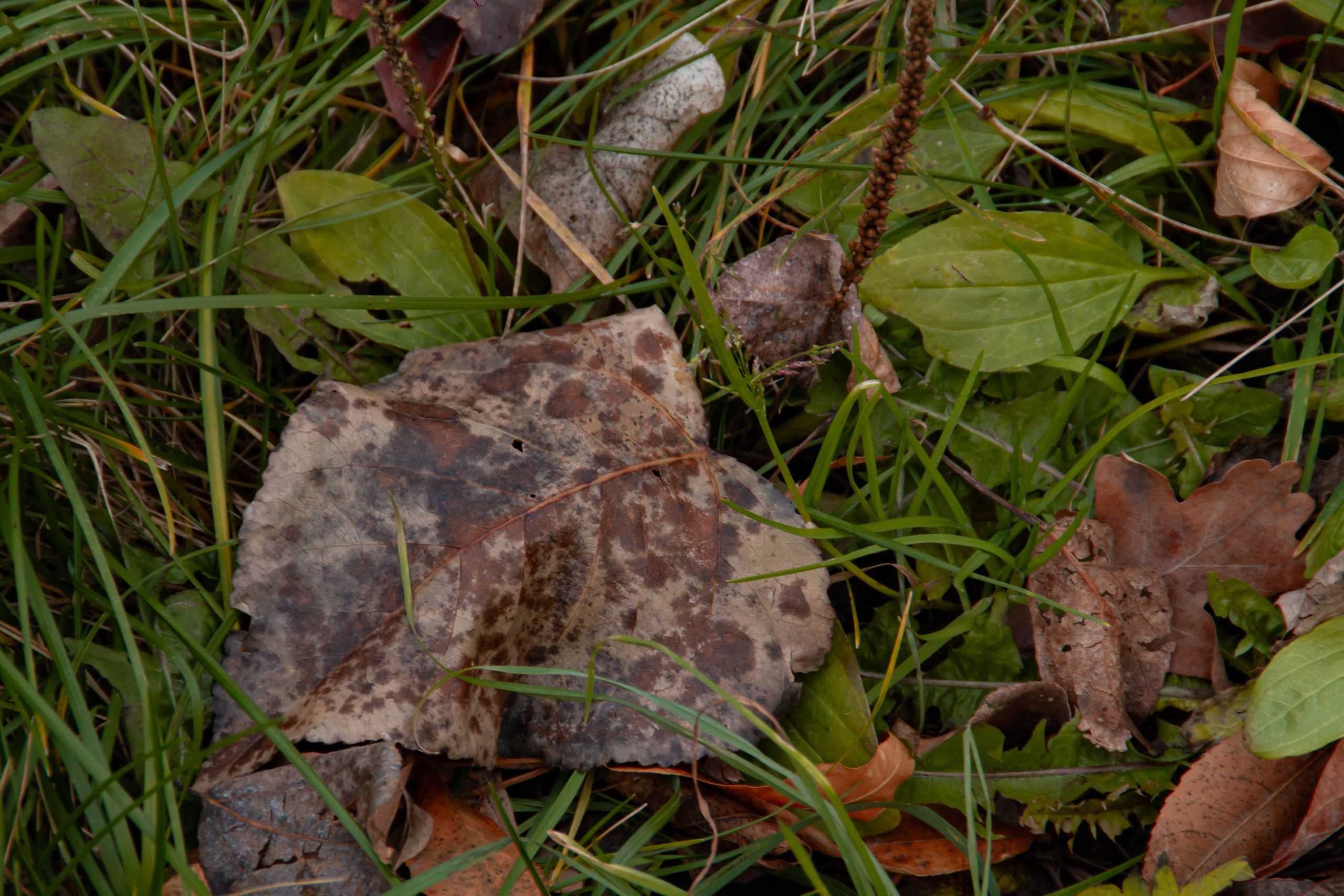 Архитектура