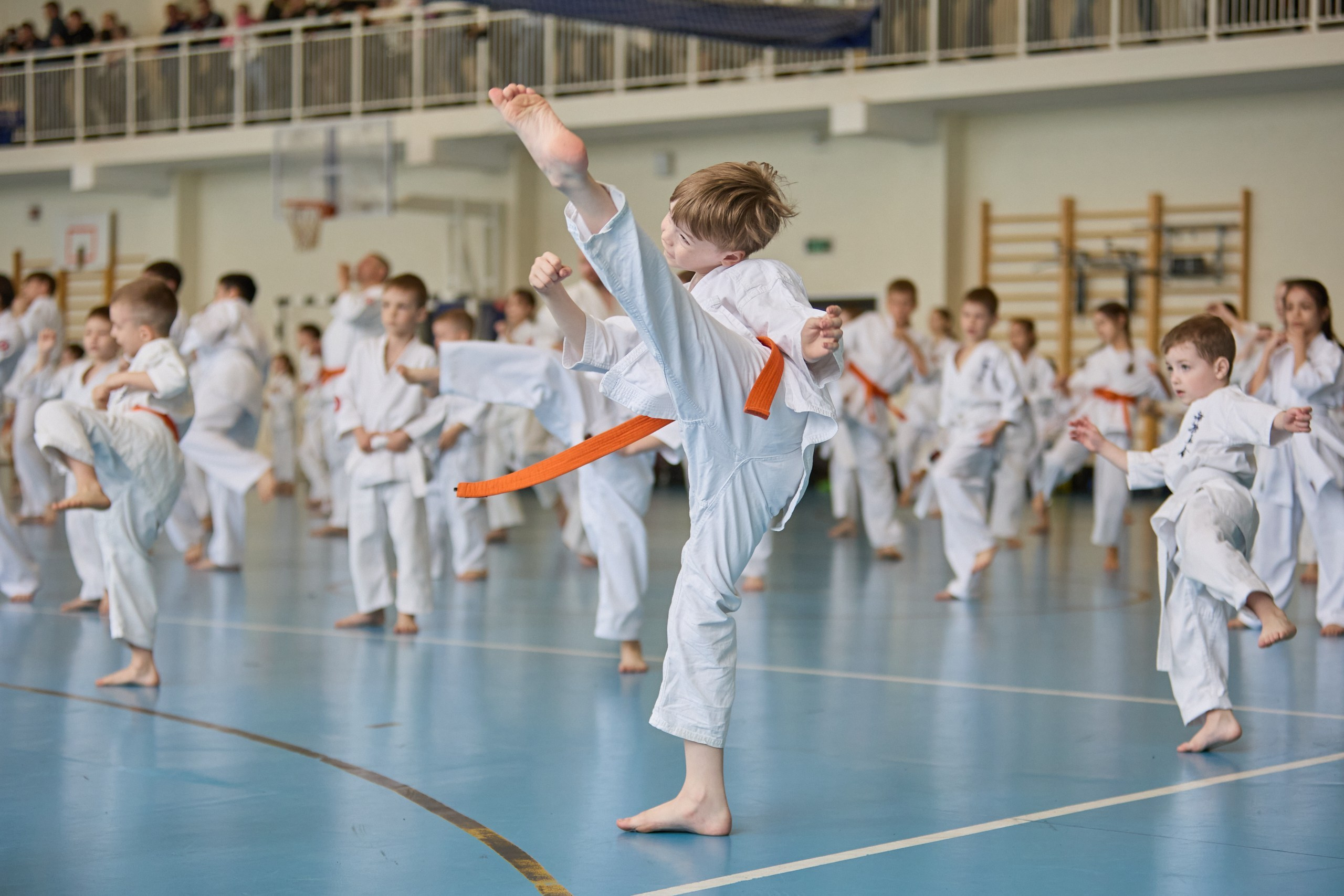КАРАТЕ. Фото. Спортивный фотограф, трансляция, звук и свет в Новосибирске