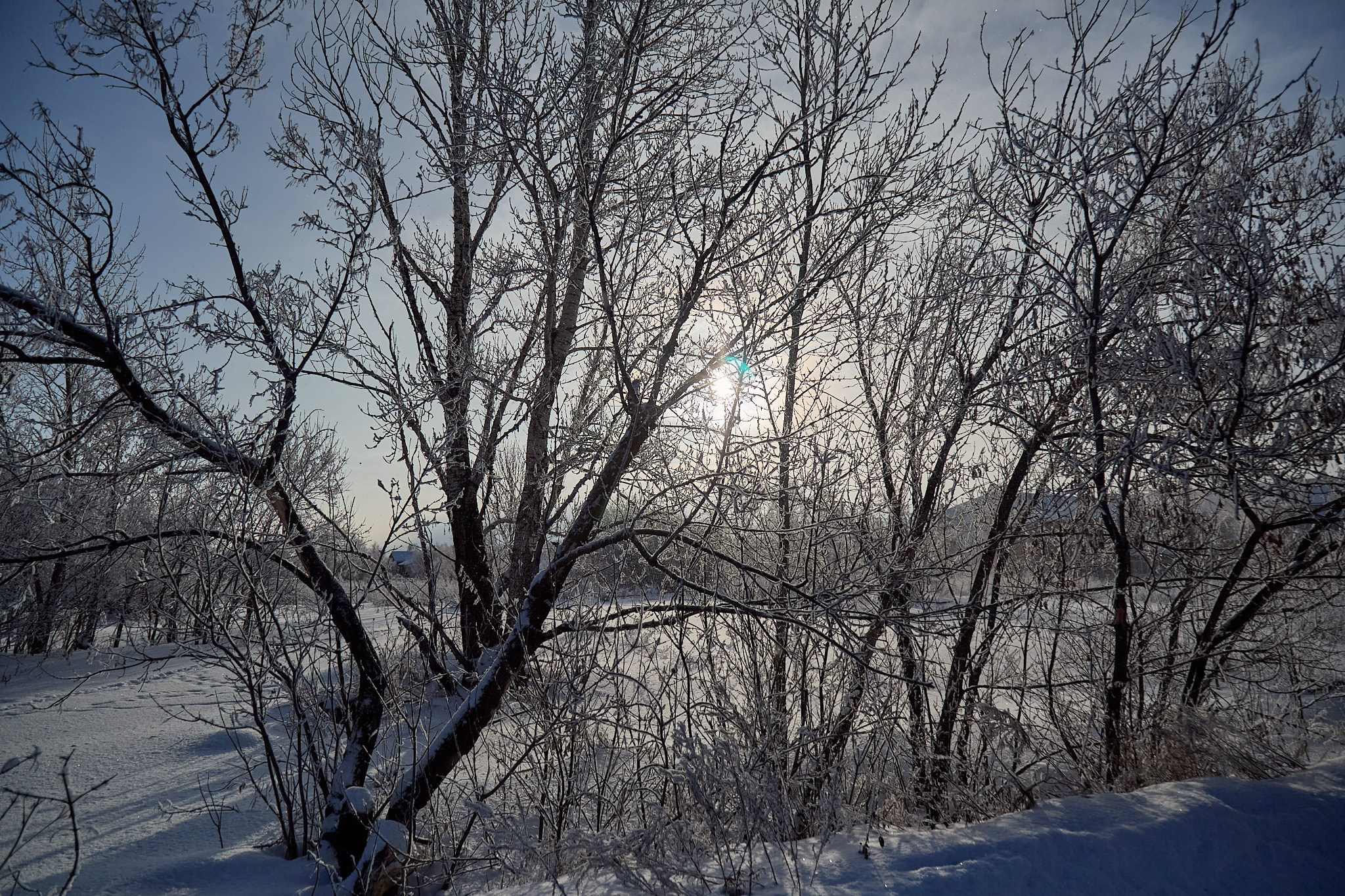 Предновогодняя сказка. Фотограф Омск | Александр Вандеров