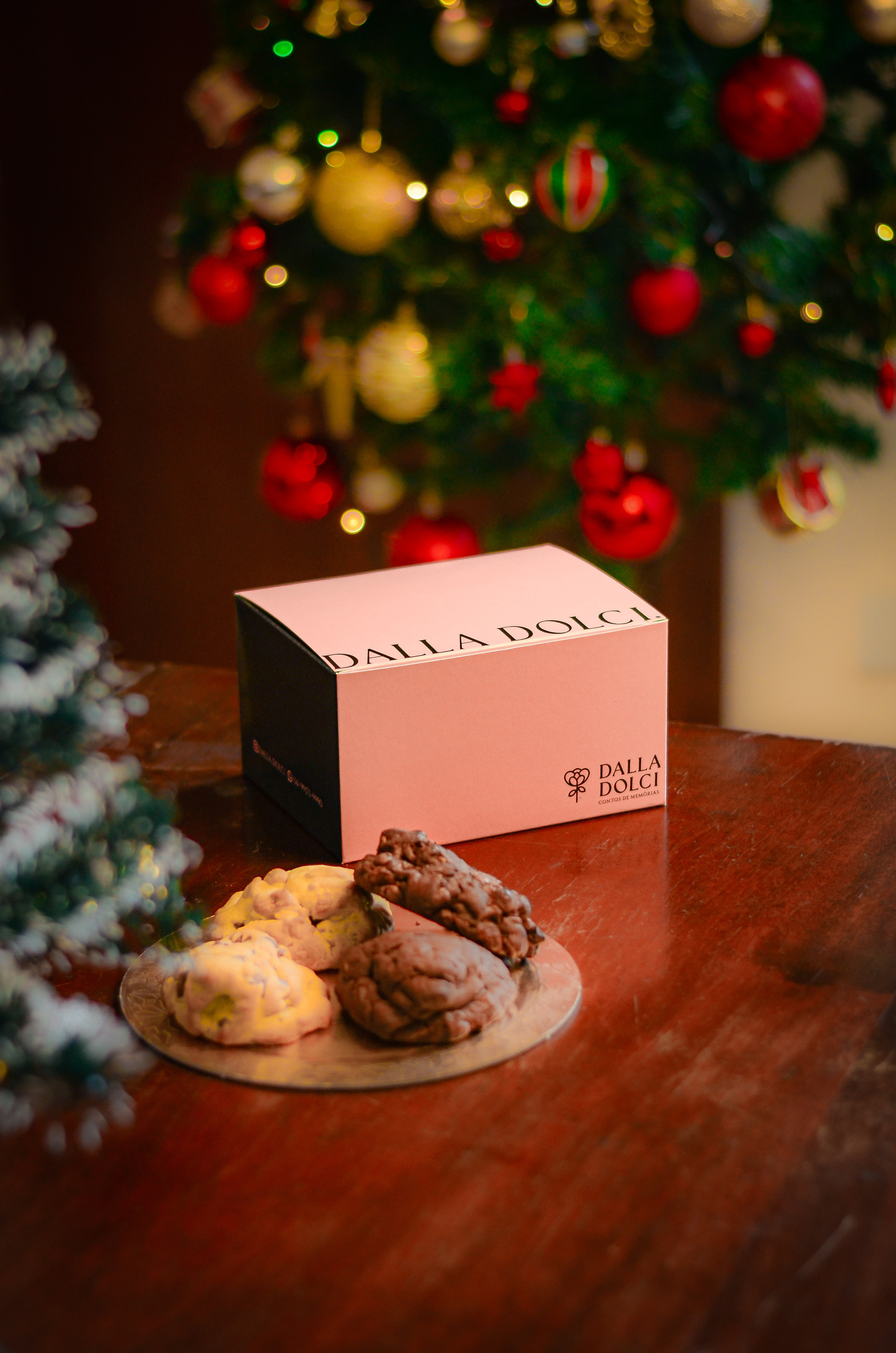 DALLA DOLCI. Fotógrafo | Sessão de fotos