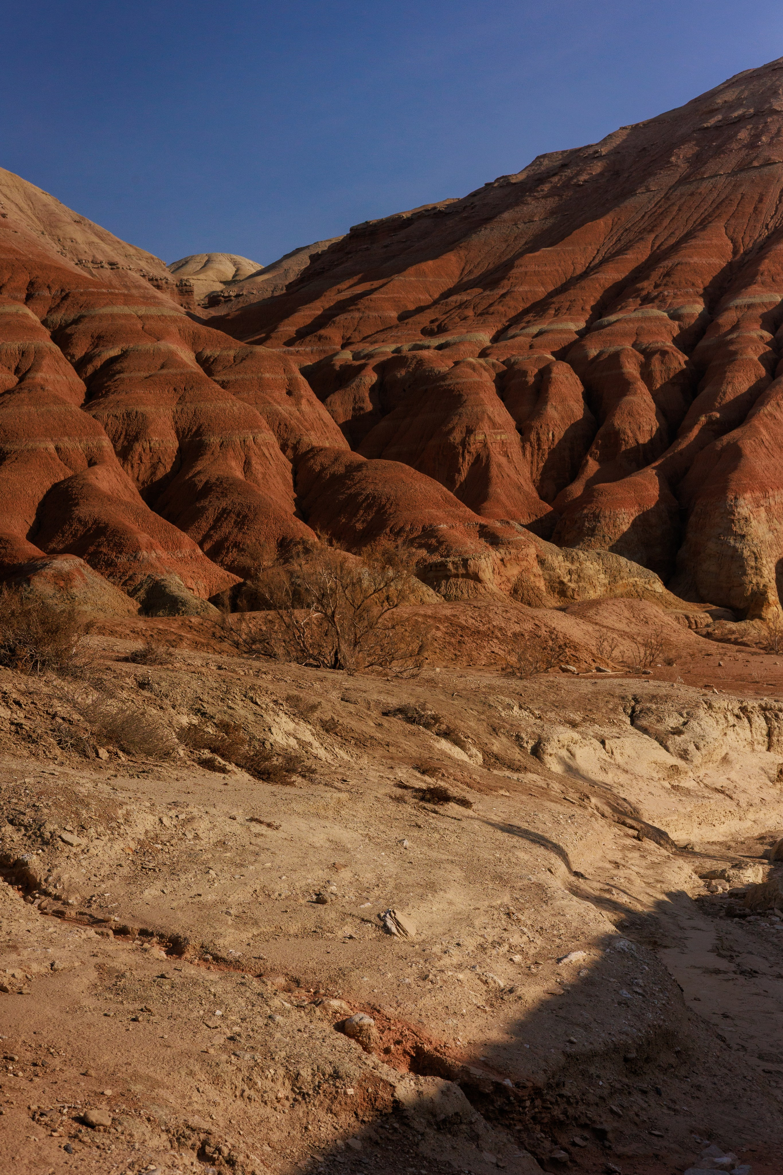 Алтын Эмель горы Актау. Фотограф Мальнева Юлия в Липецке, в Москве. Фотостудия MARU в Липецке