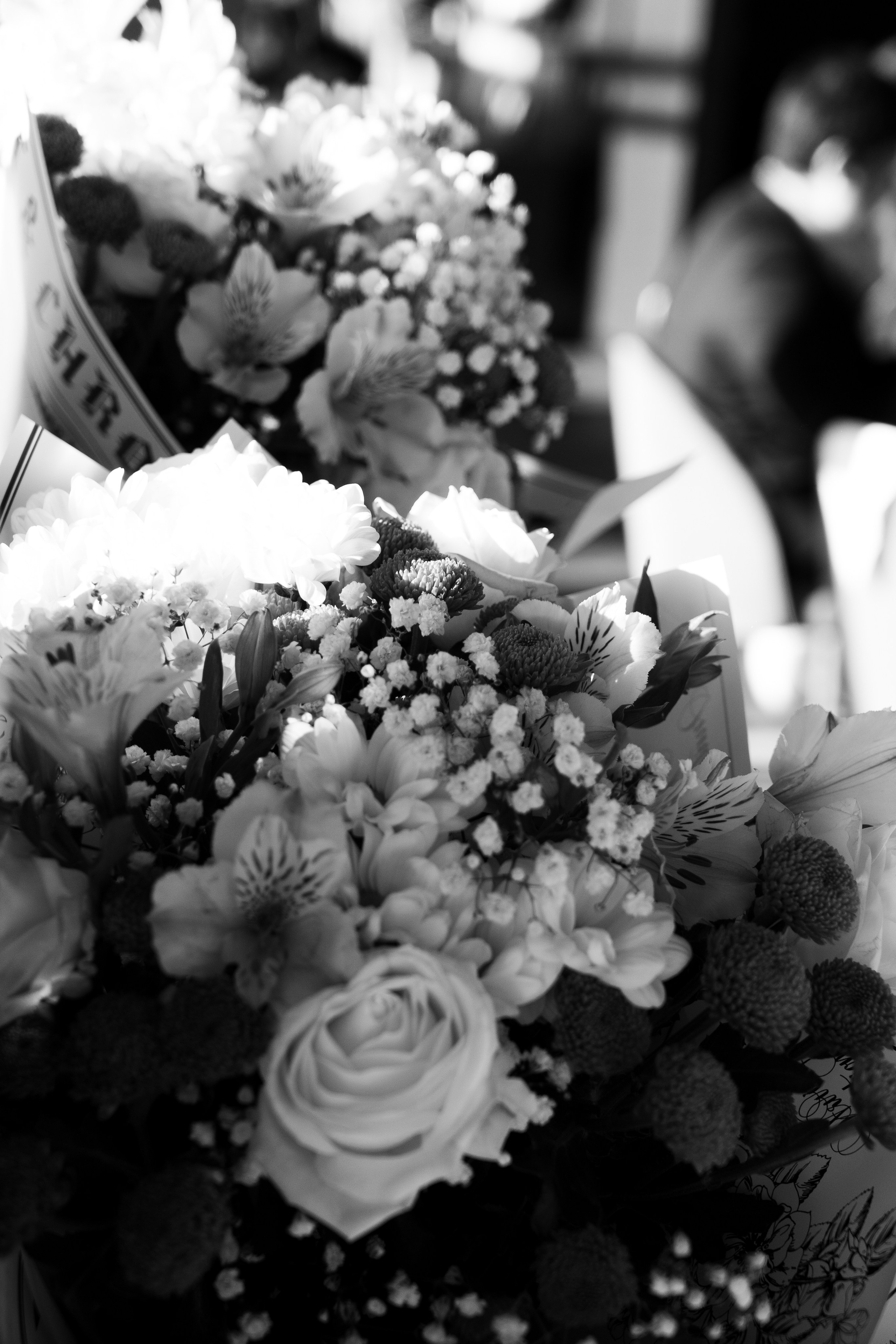 Санкт-Петербург. Свадебный фотограф-видеограф в Архангельске. Фотохудожница Lana Contra