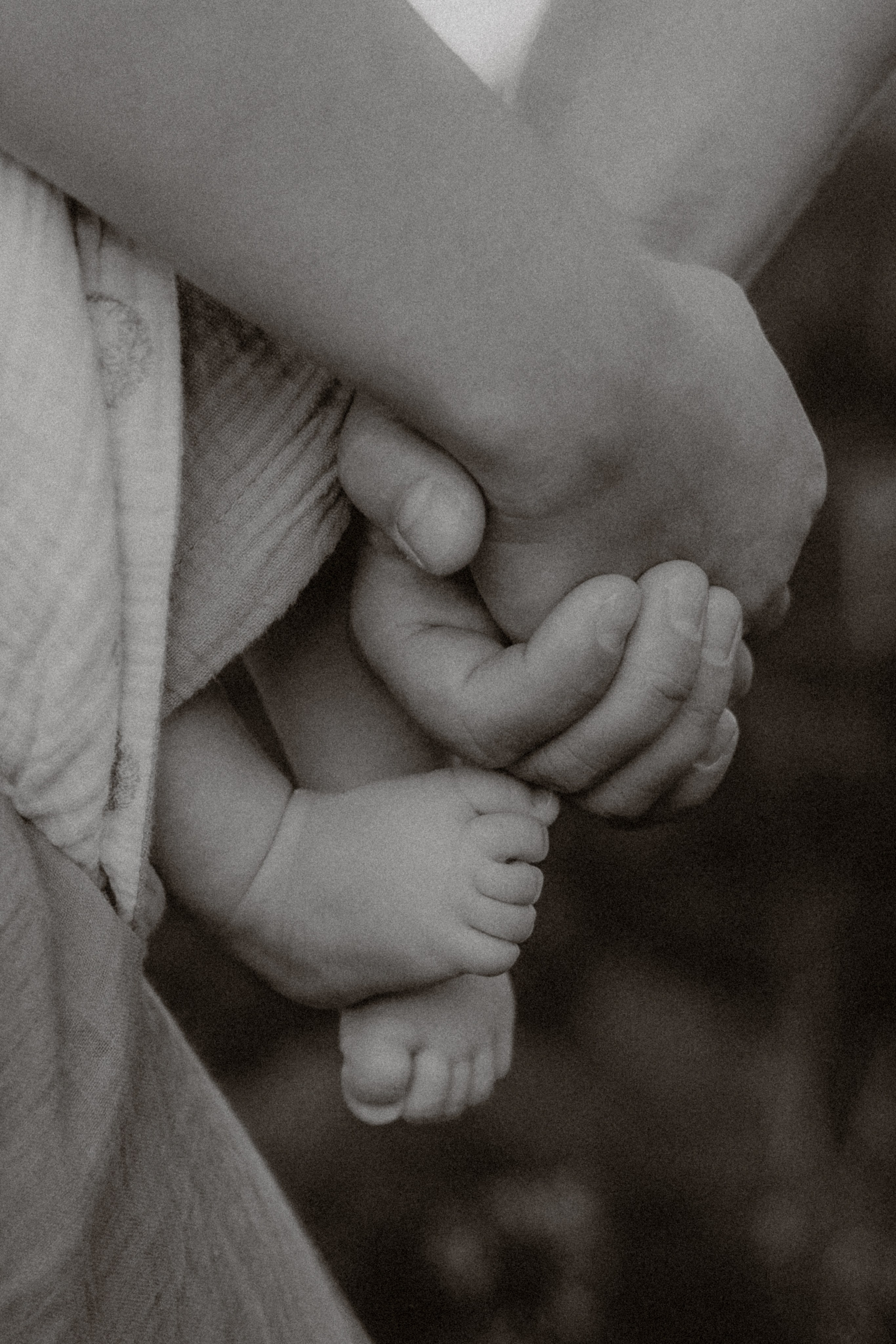 Семейные фотосессии в Сочи, Сириус и на Красной поляне. Семейный, свадебный фотограф Сочи, Адлер, Красная поляна