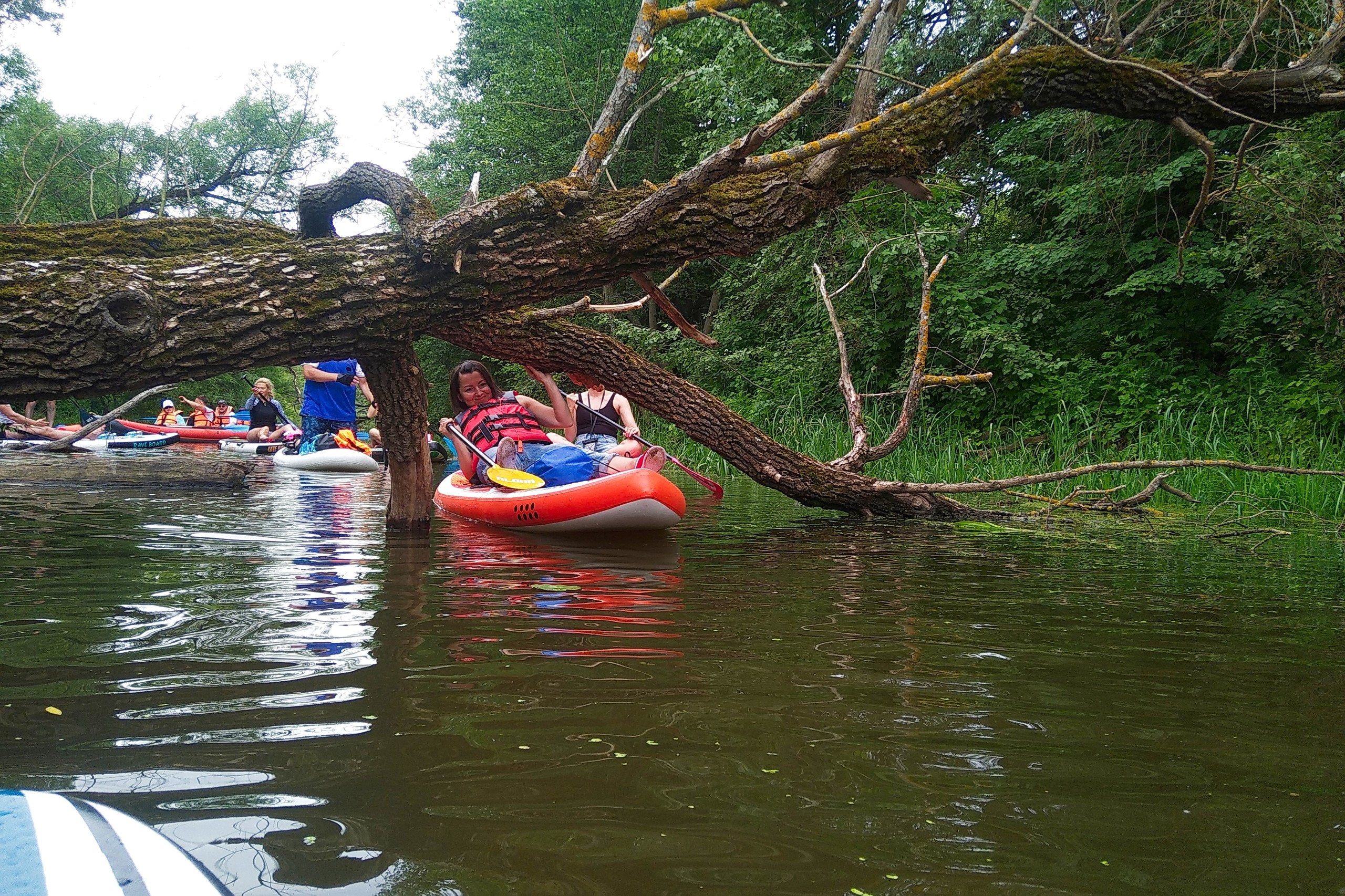 Сплав на сапах | 16.06.2024. Галерея Фантим