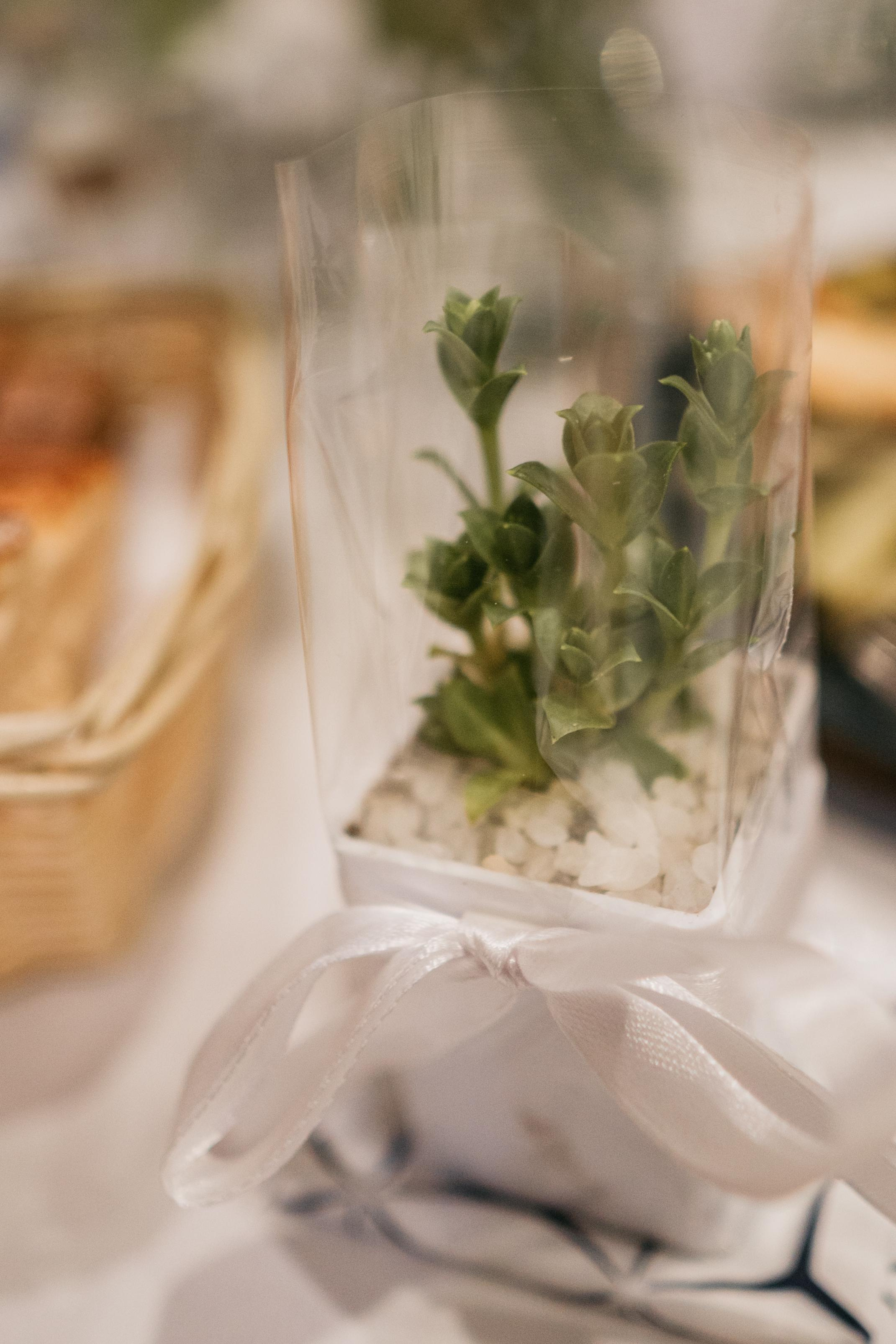 Свадьба Лилии и Андрея. Ваш фотограф в Санкт-Петербурге Татьяна Трухина