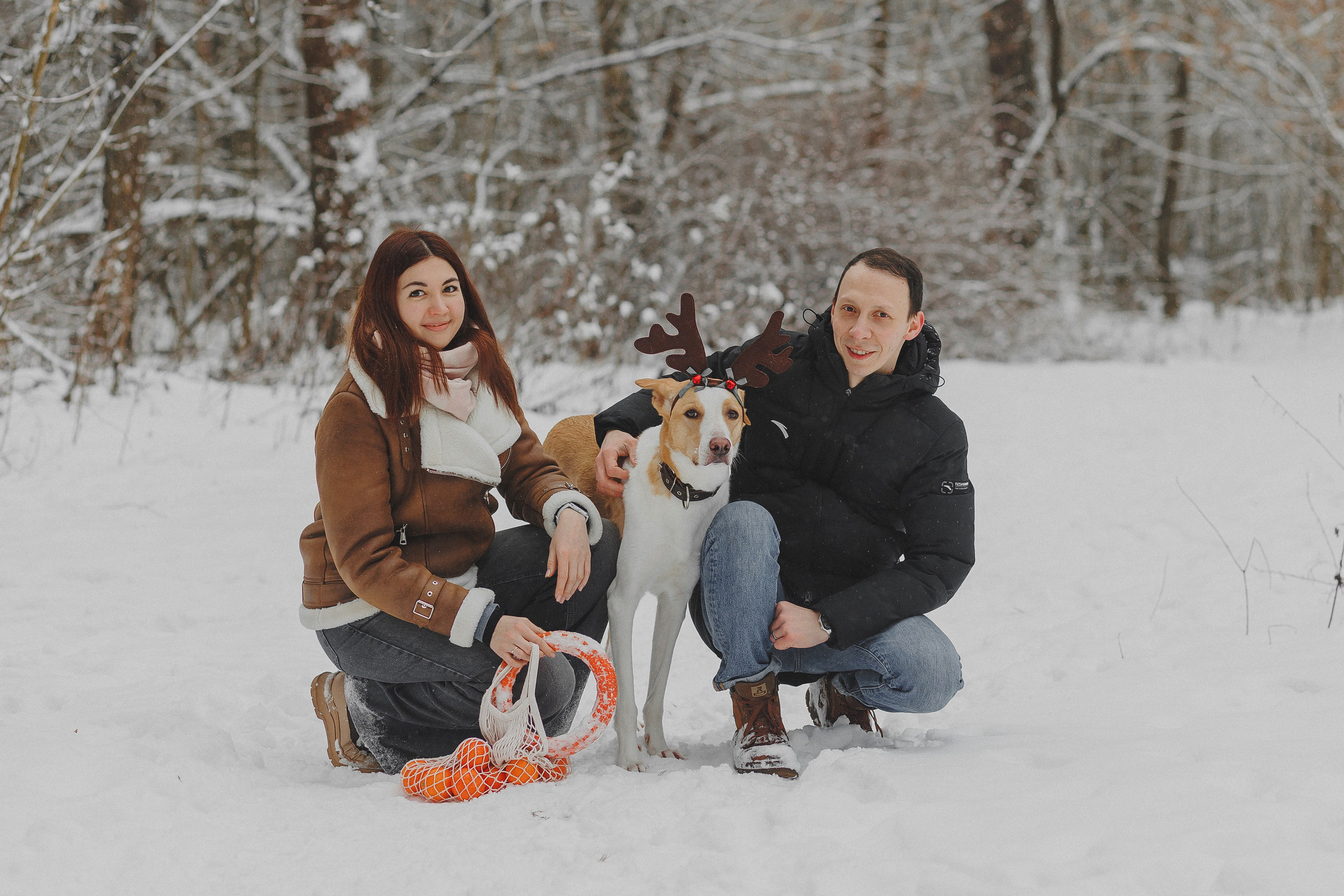 Зимняя фотосессия в лесу с собакой. Фотограф в Москве и Люберцах Анна Ушакова