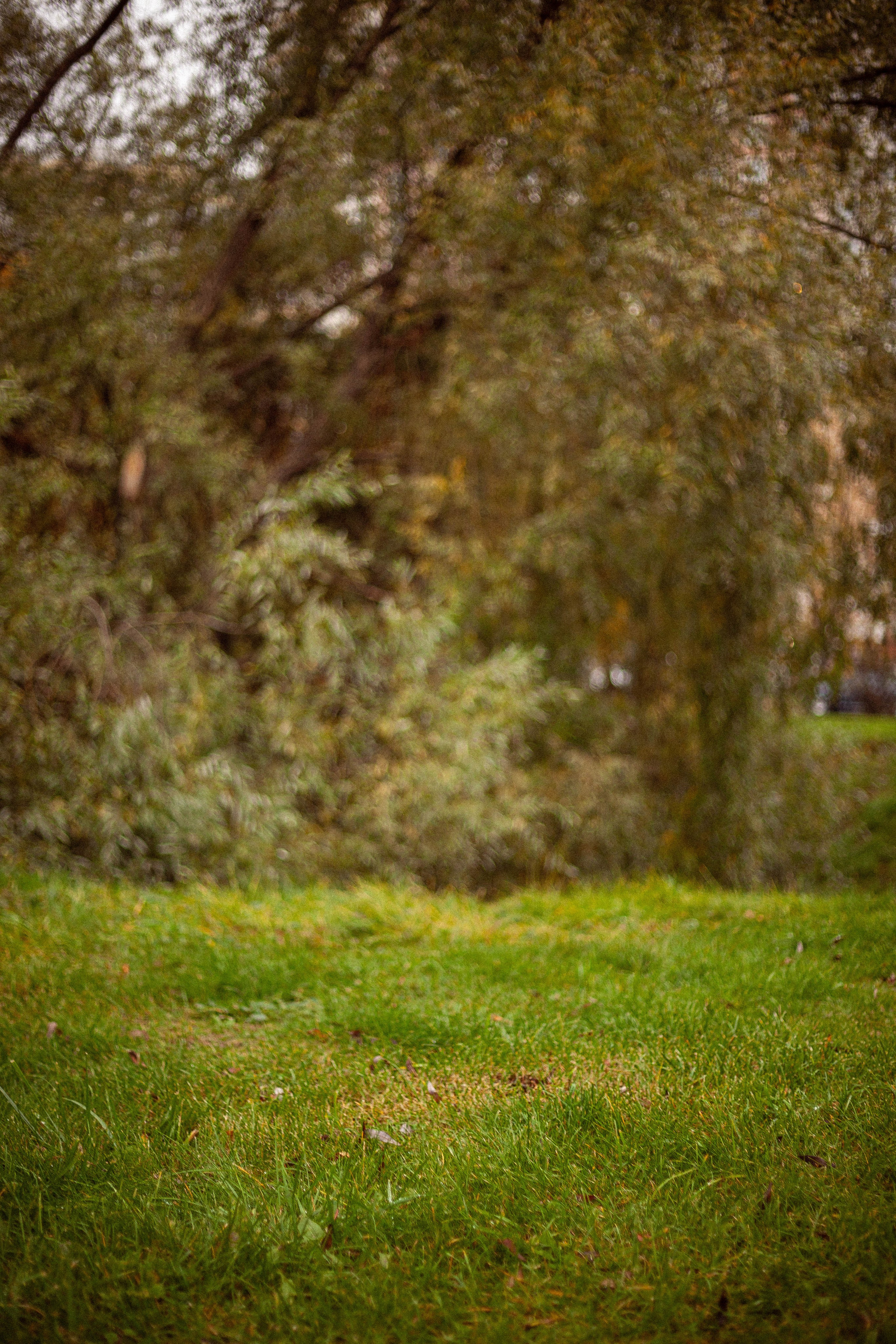 Осенняя серия. Фотограф в Москве. Екатерина Митина