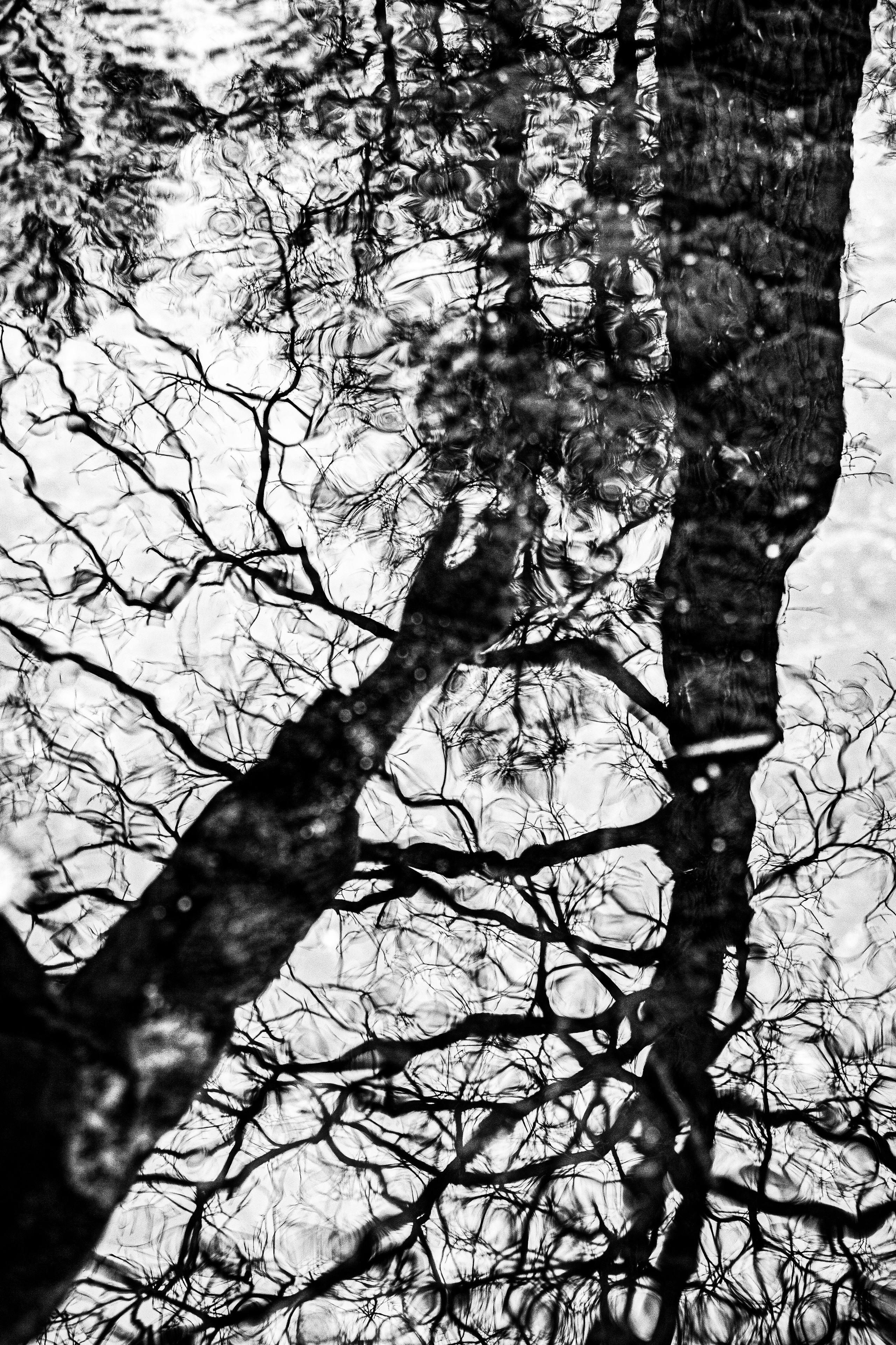 Варя Р. Черно-белый фотограф Дмитрий Пчелкин