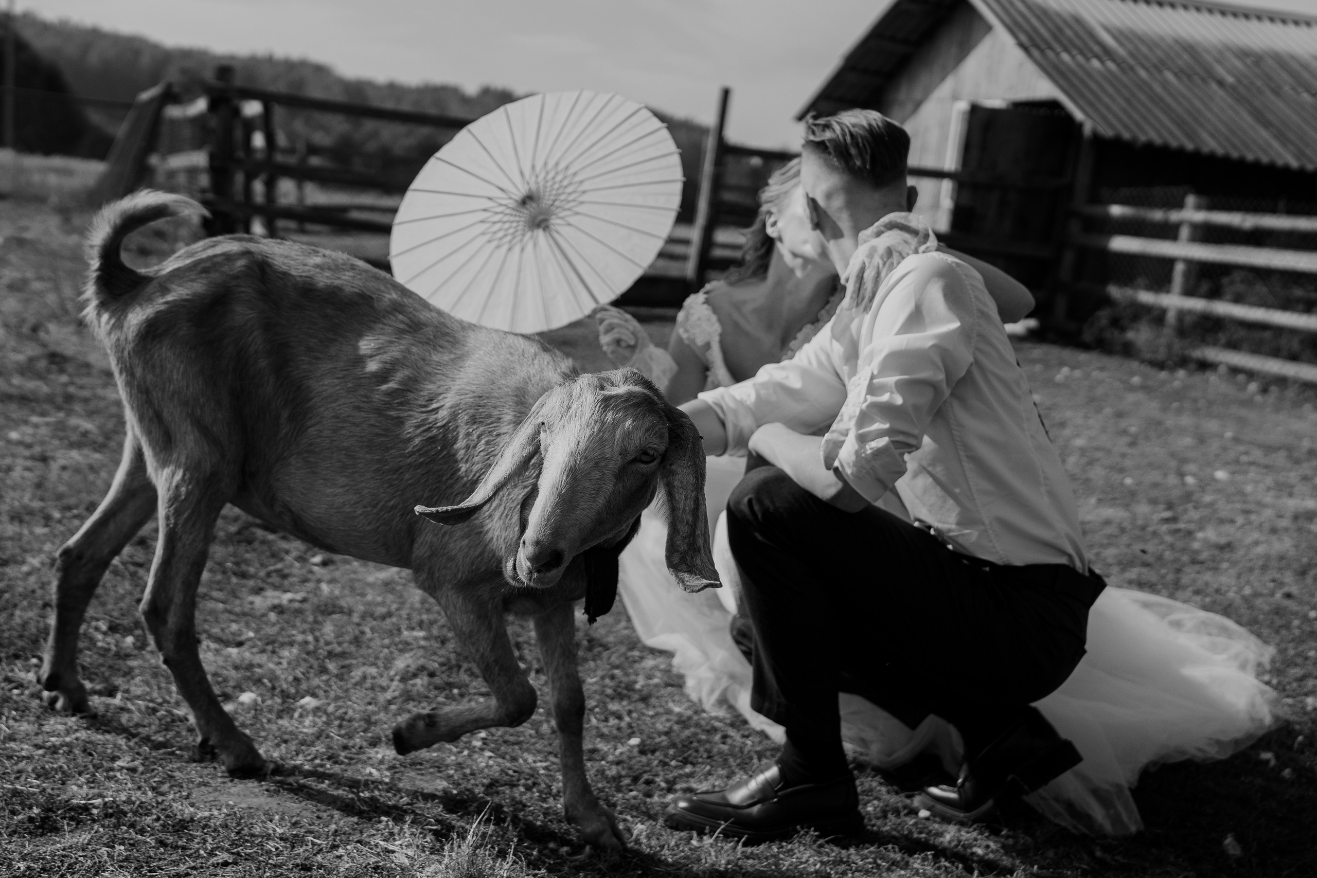 Свадебный фотограф Минск РБ