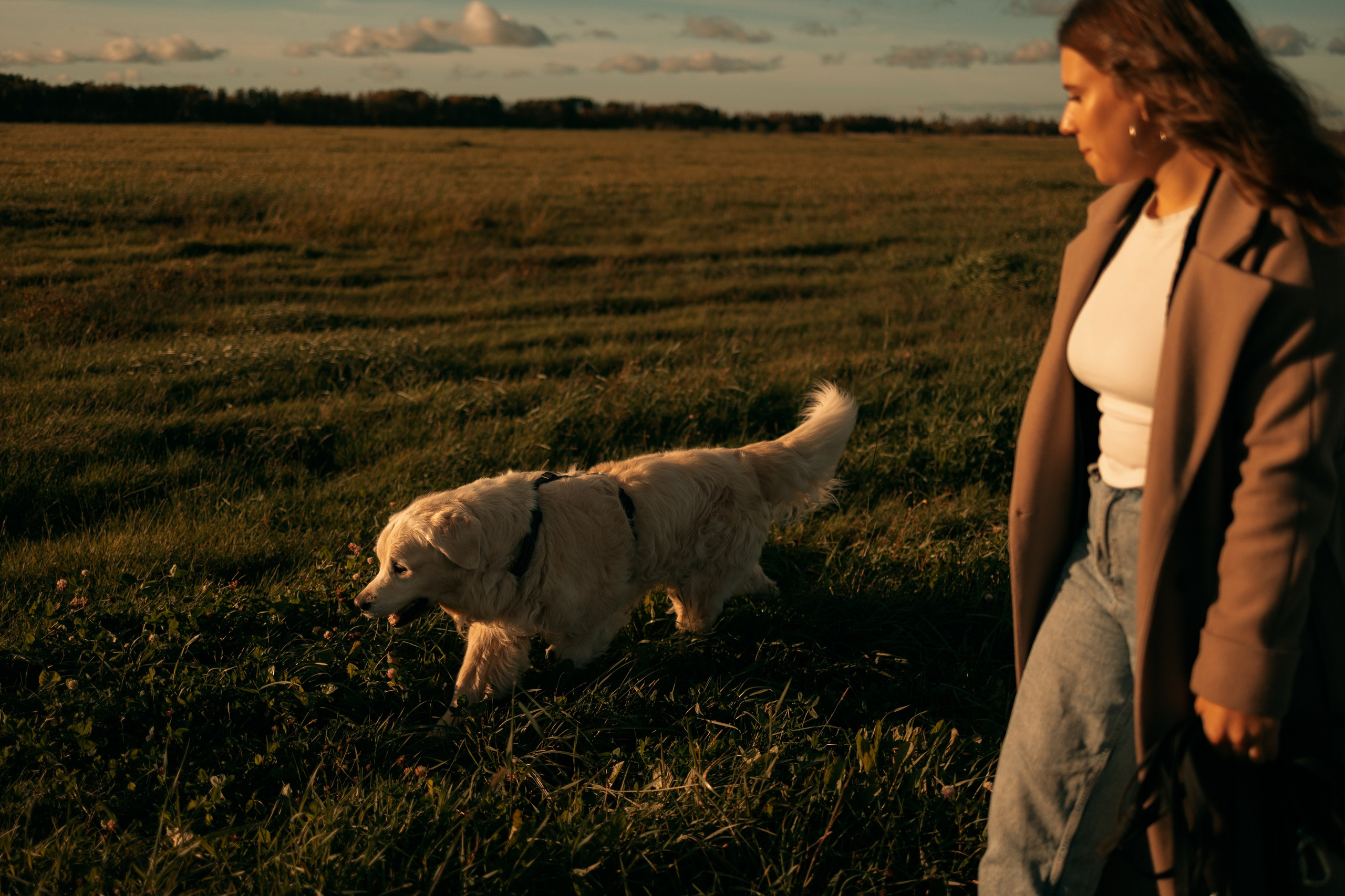 Лера и Скай. Фотограф — Анималист | Санкт-Петербург