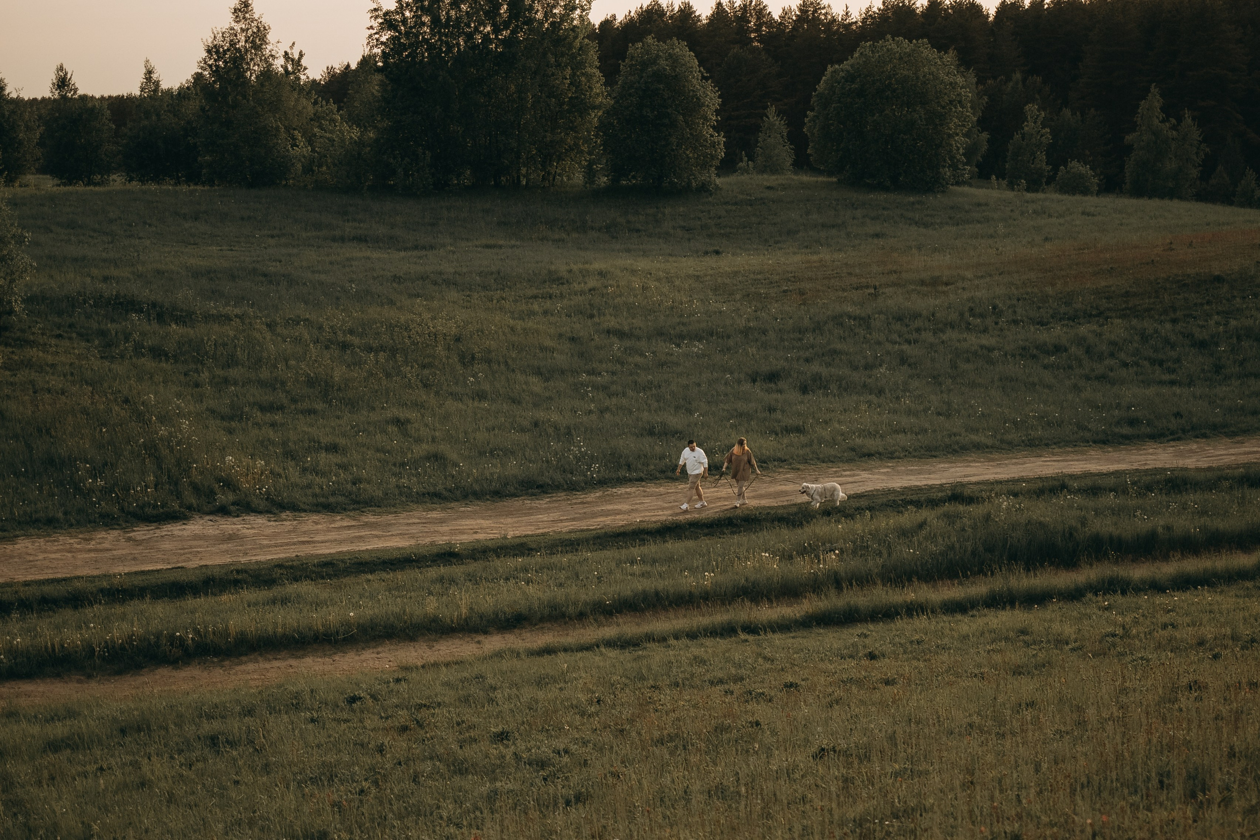 Милка и ребята. Фотограф — Анималист | Санкт-Петербург