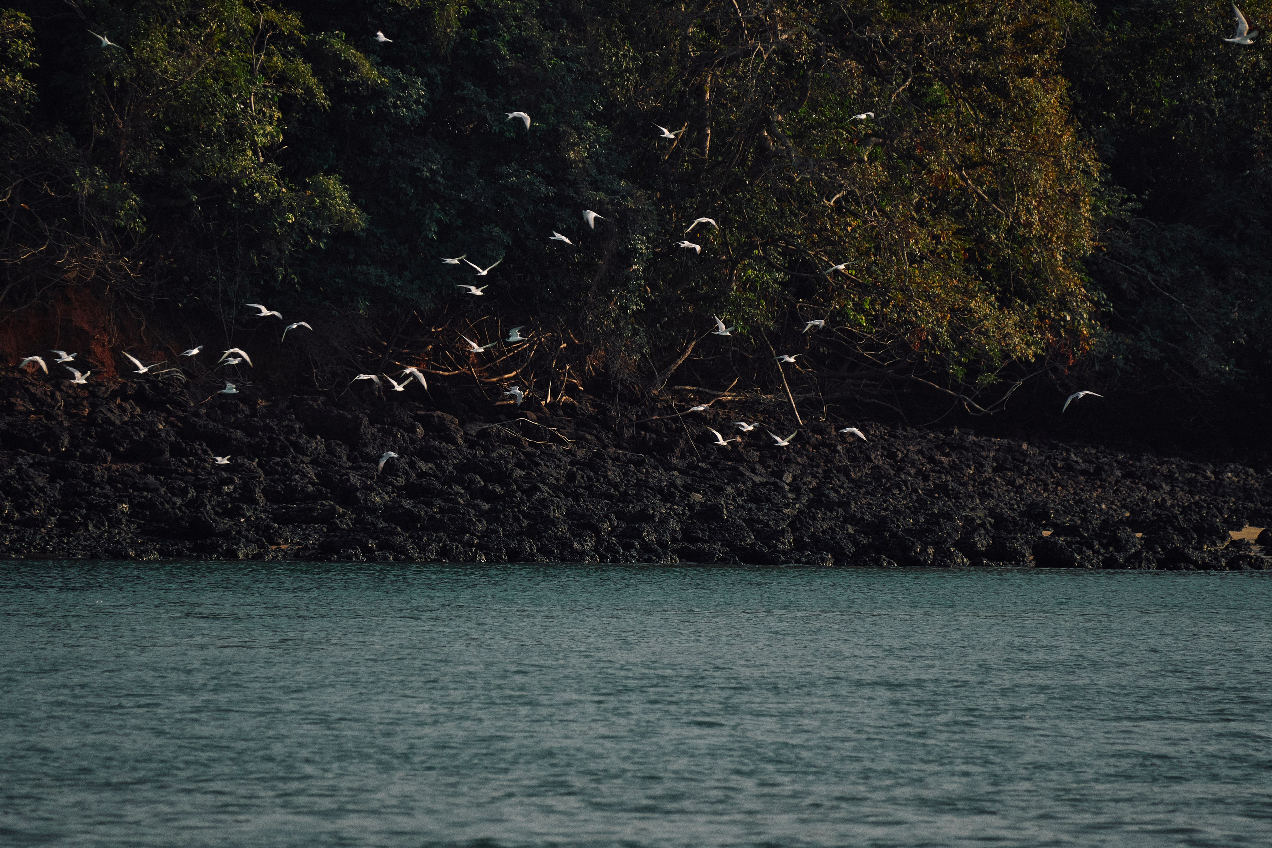 Guinea-Bissau. See the moment and catche. commercial and reportage