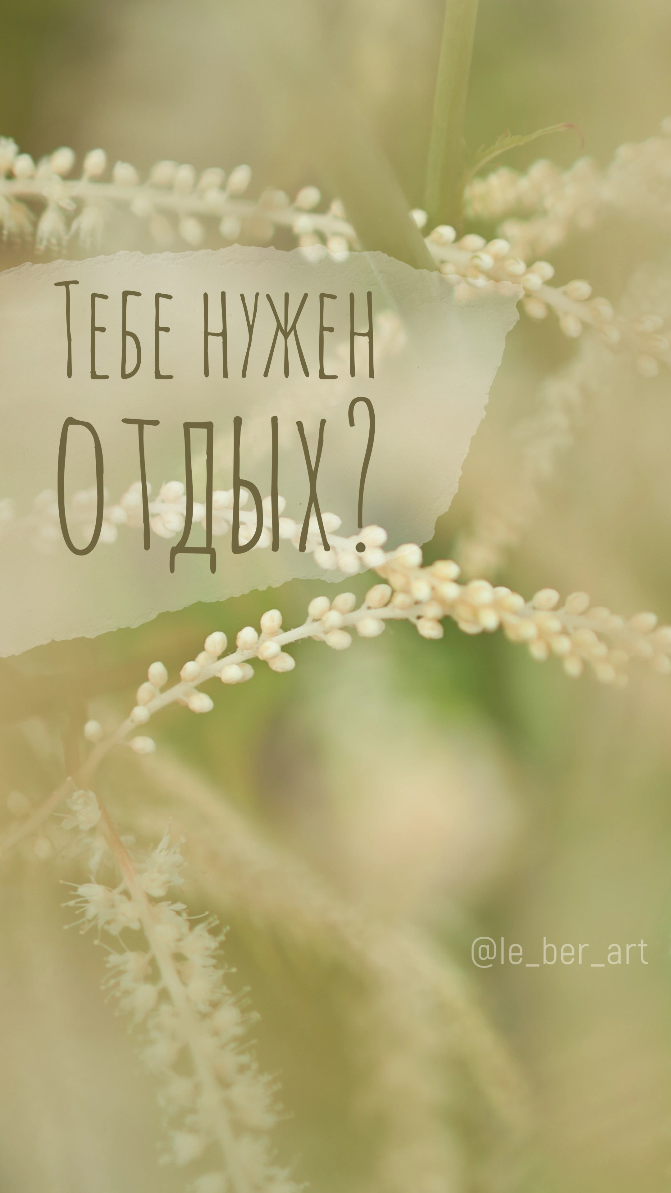 Заставки на телефон. Елена Берсенева, фотограф