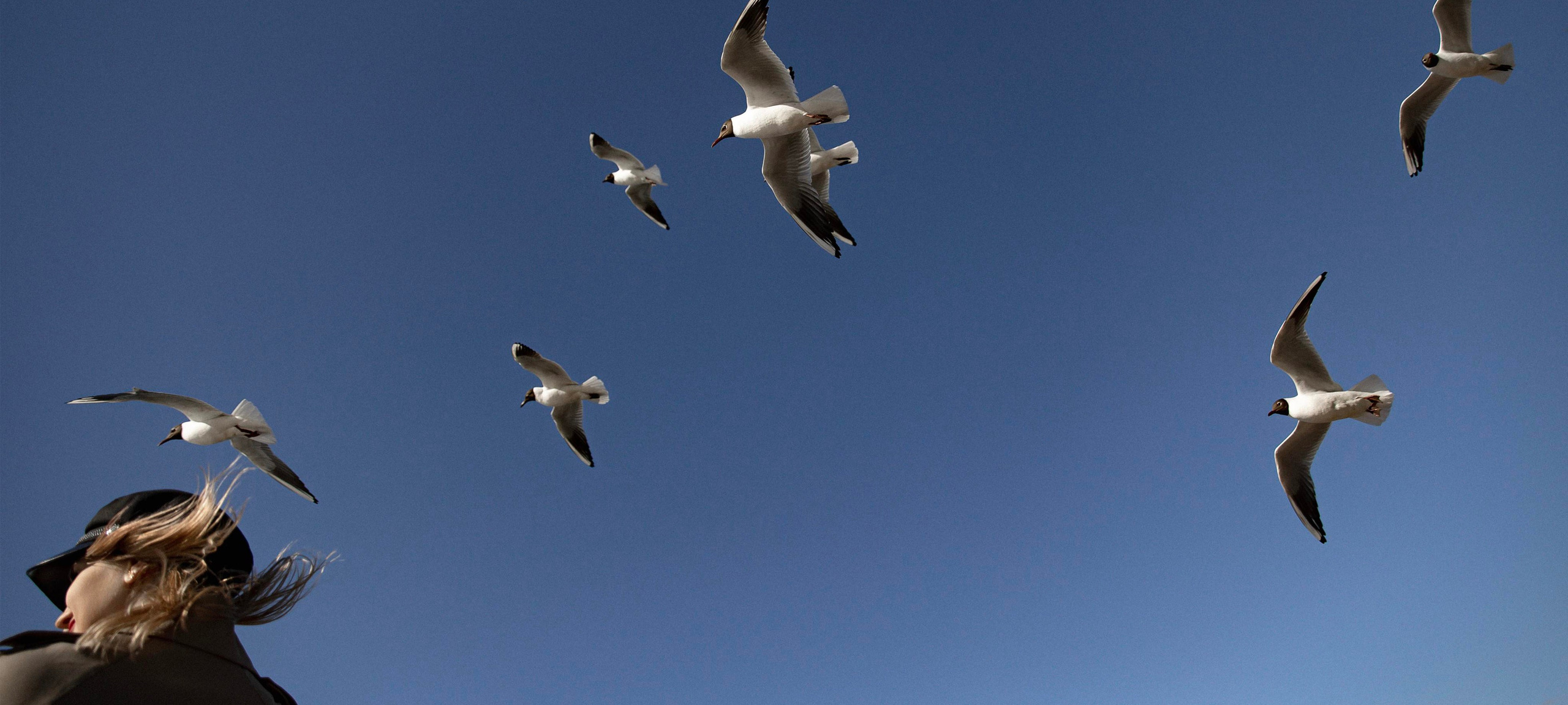 Фотограф в Новосибирске и Москве