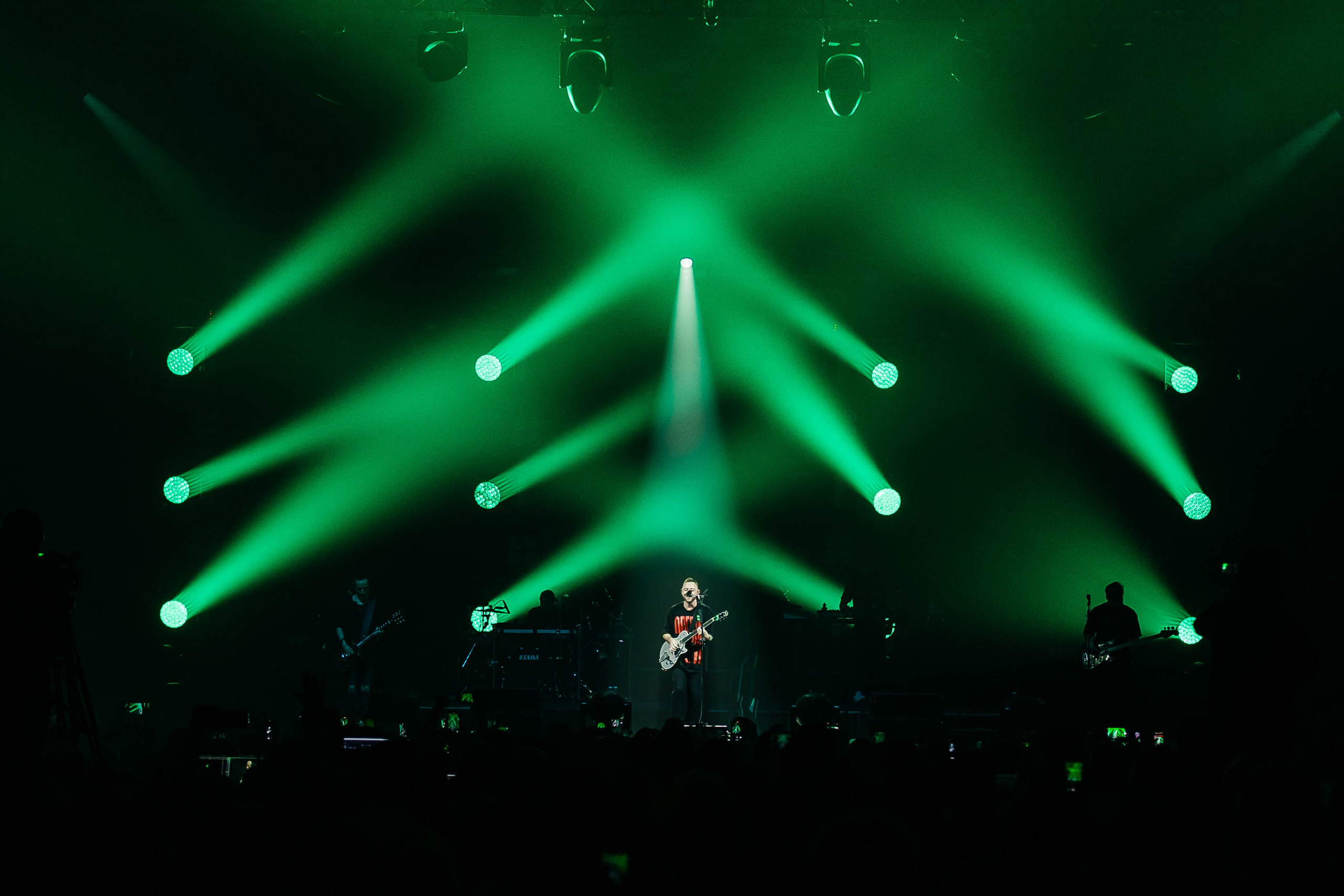 Звери. _Carpe diem_