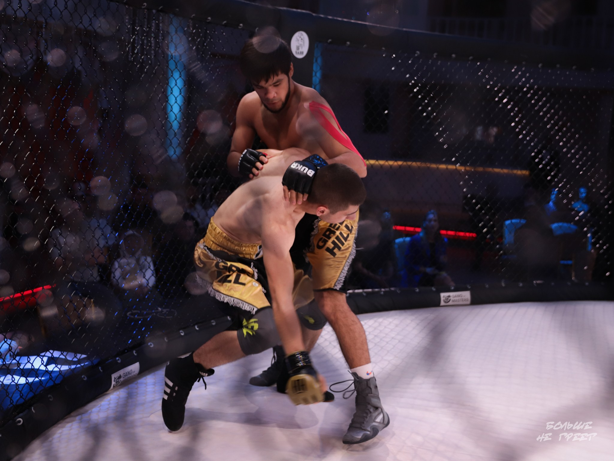 SABR FIGHTING. Больше не греет