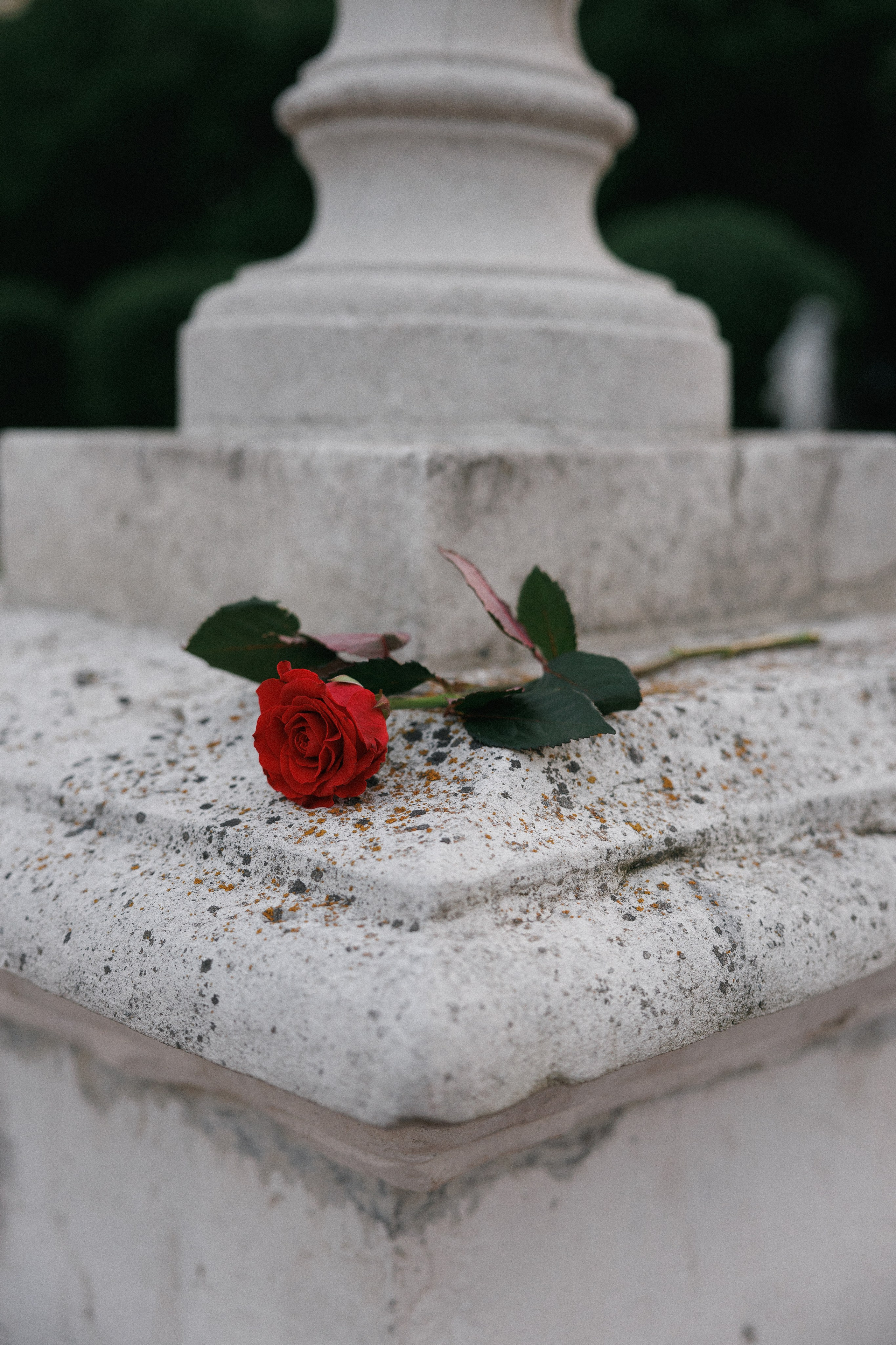 Кусково 2025. Фотограф в Москве Виктория Губина