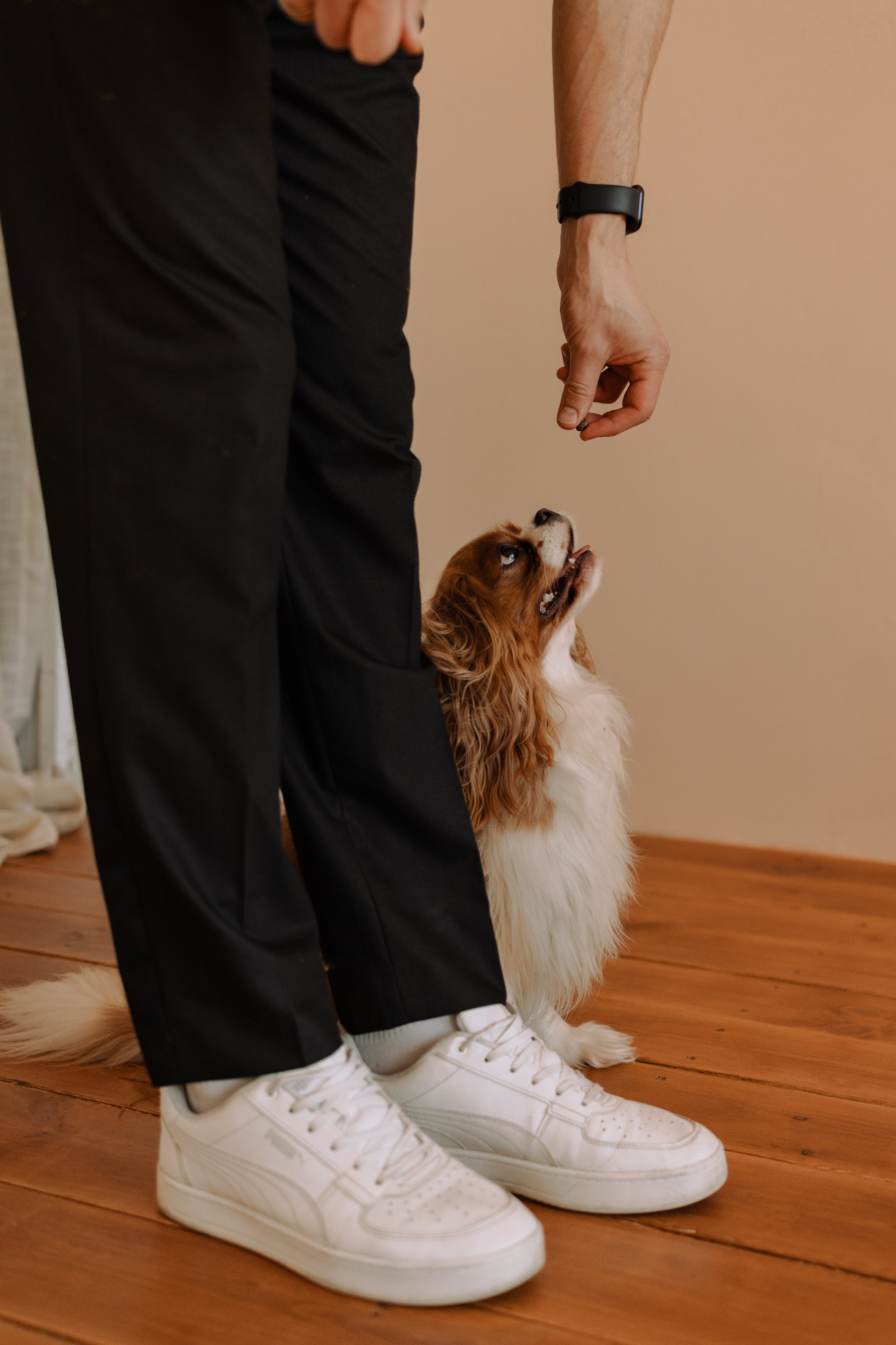 Шерри и ее семья. Фотограф — Анималист | Санкт-Петербург