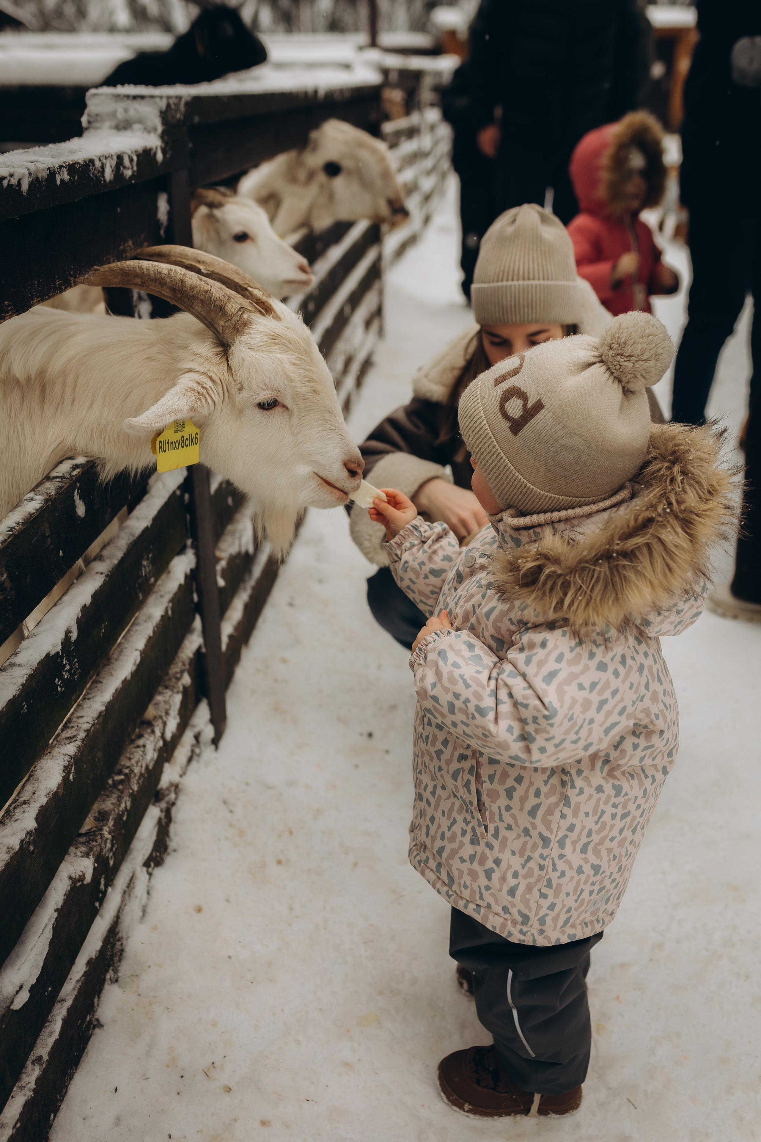 Зимняя сказка. Ph.nataluuna ФОТОГРАФ СЕРГИЕВ ПОСАД