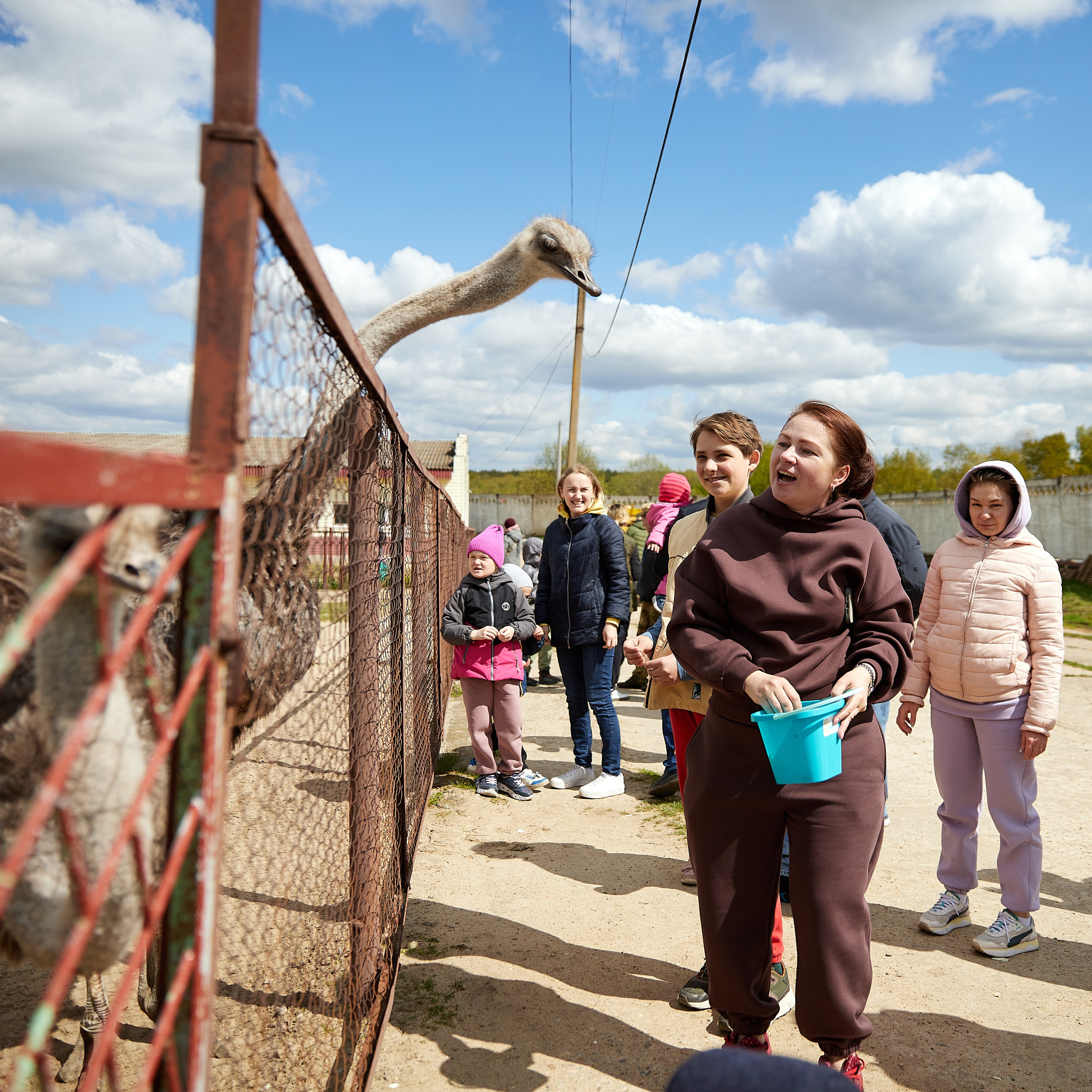 На ферме. Главная
