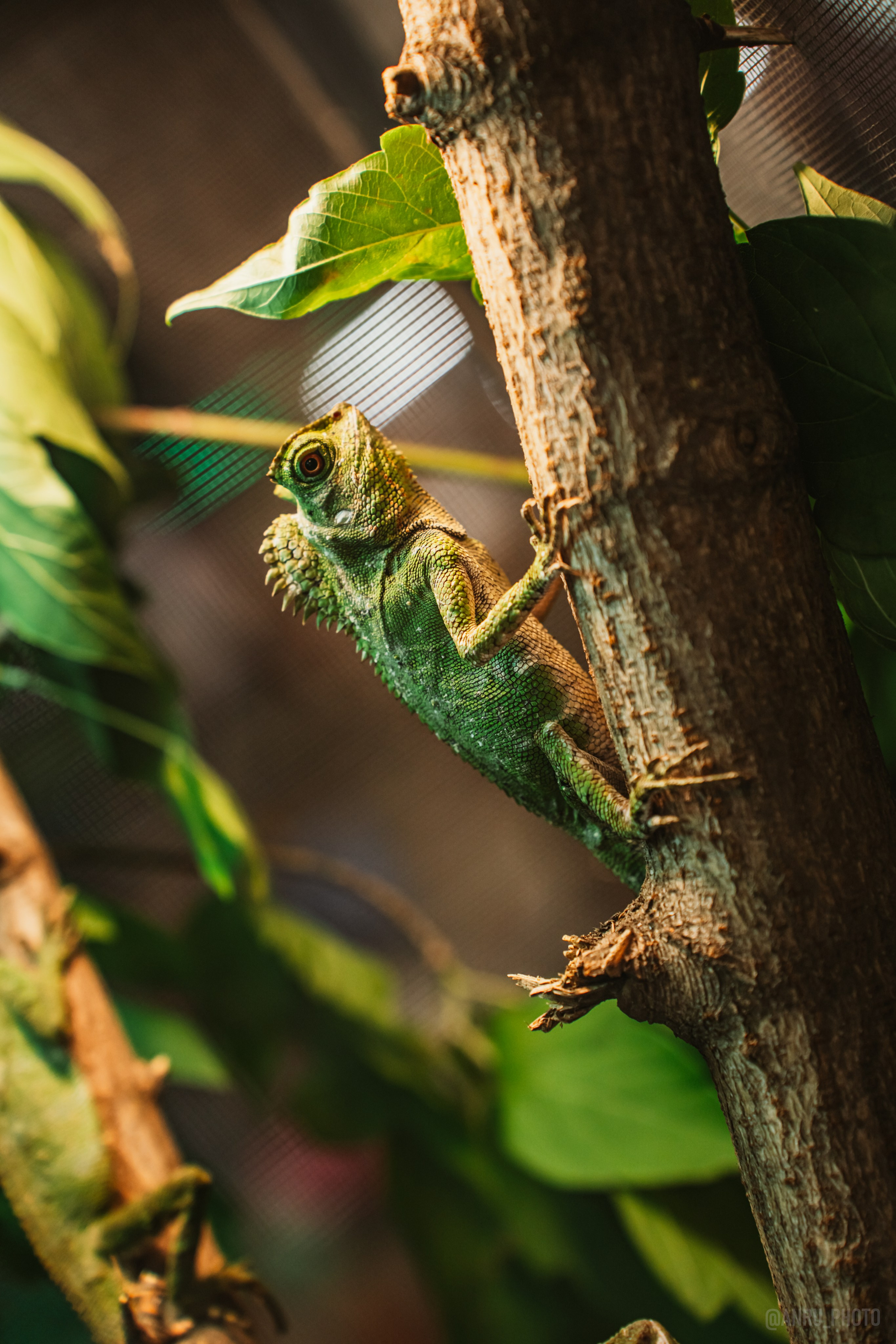 Рептилиум. Репортажный фотограф Анастасия Рубцова