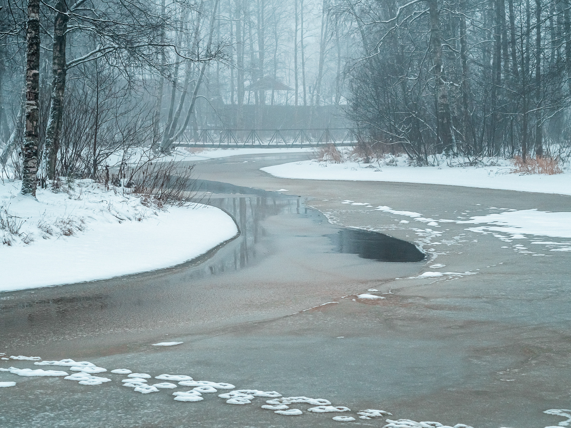 фотосессия на природе фото