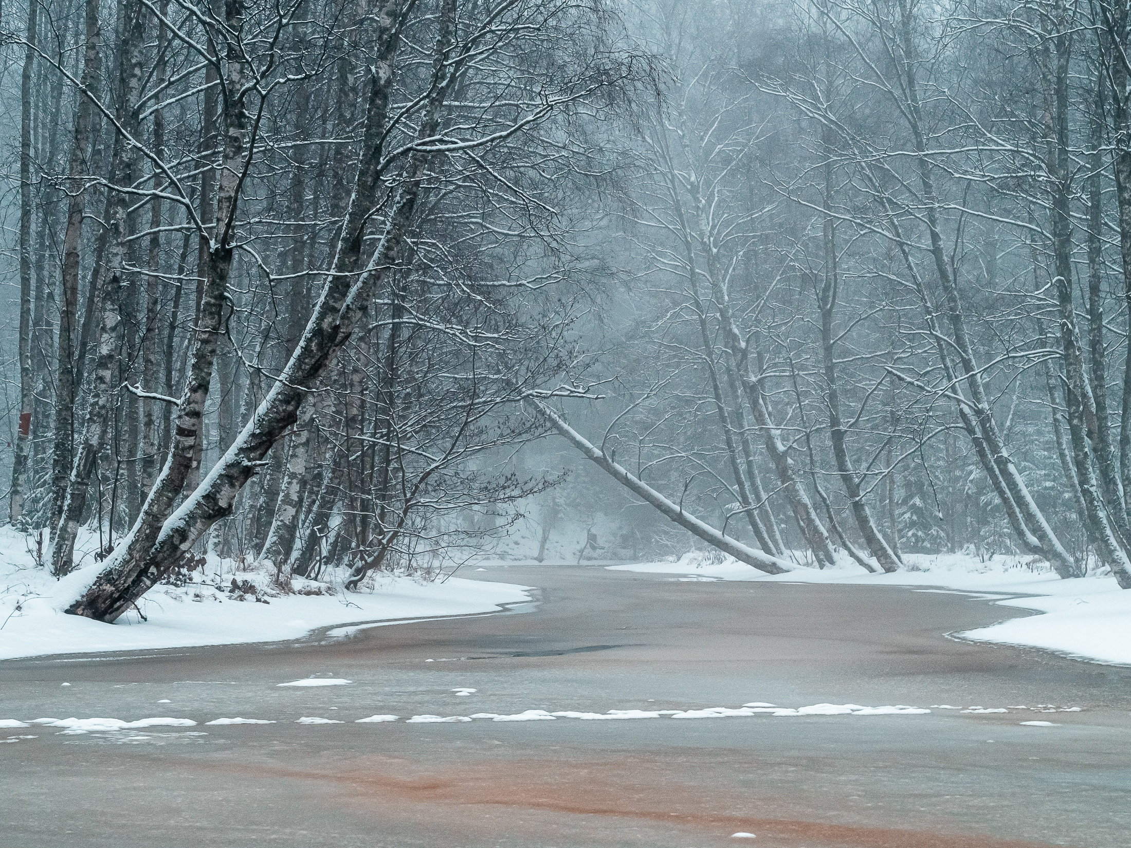 фотосессия природа места