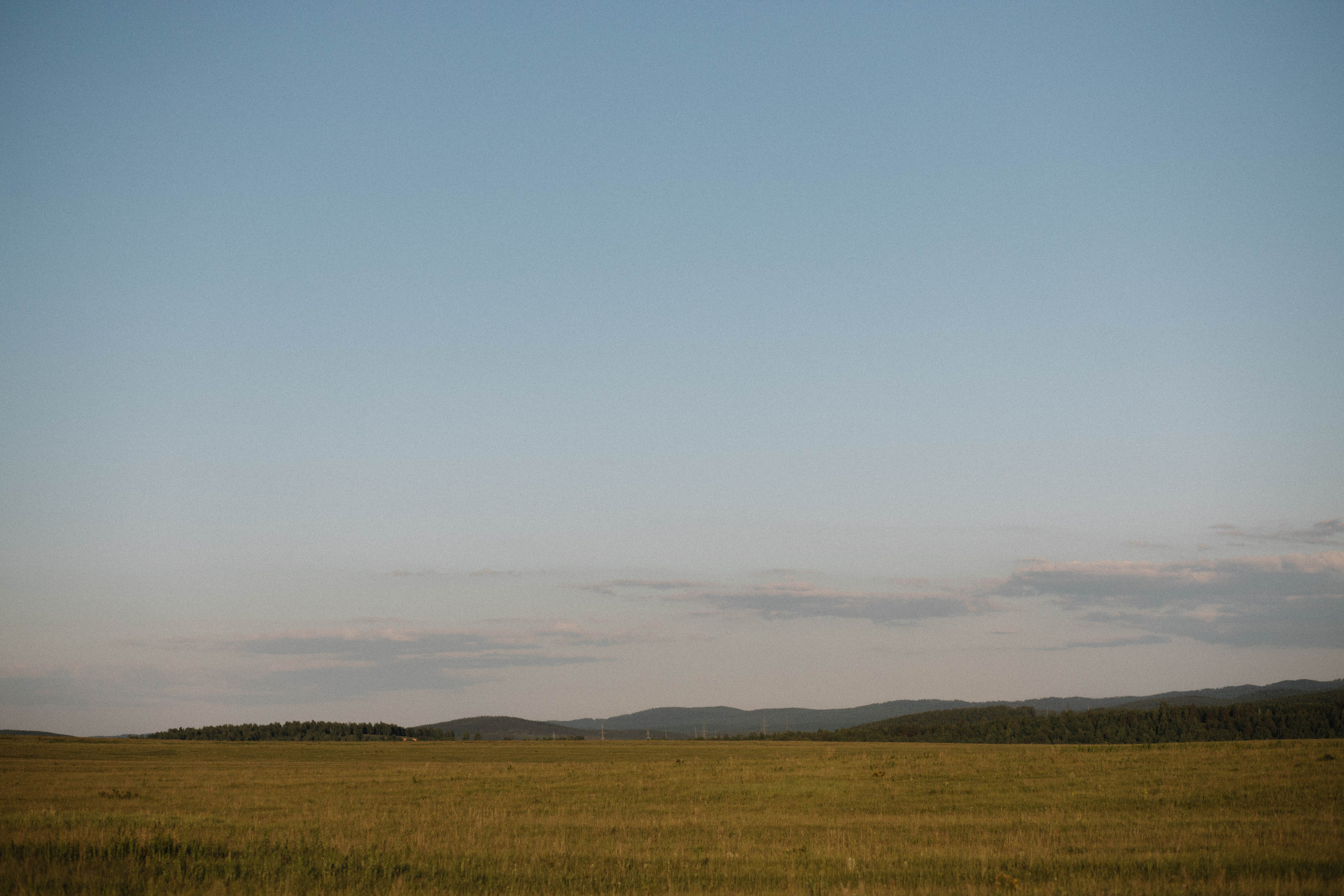 Любовь и пионы. Фотограф Регина Даниловна Усть — Катав