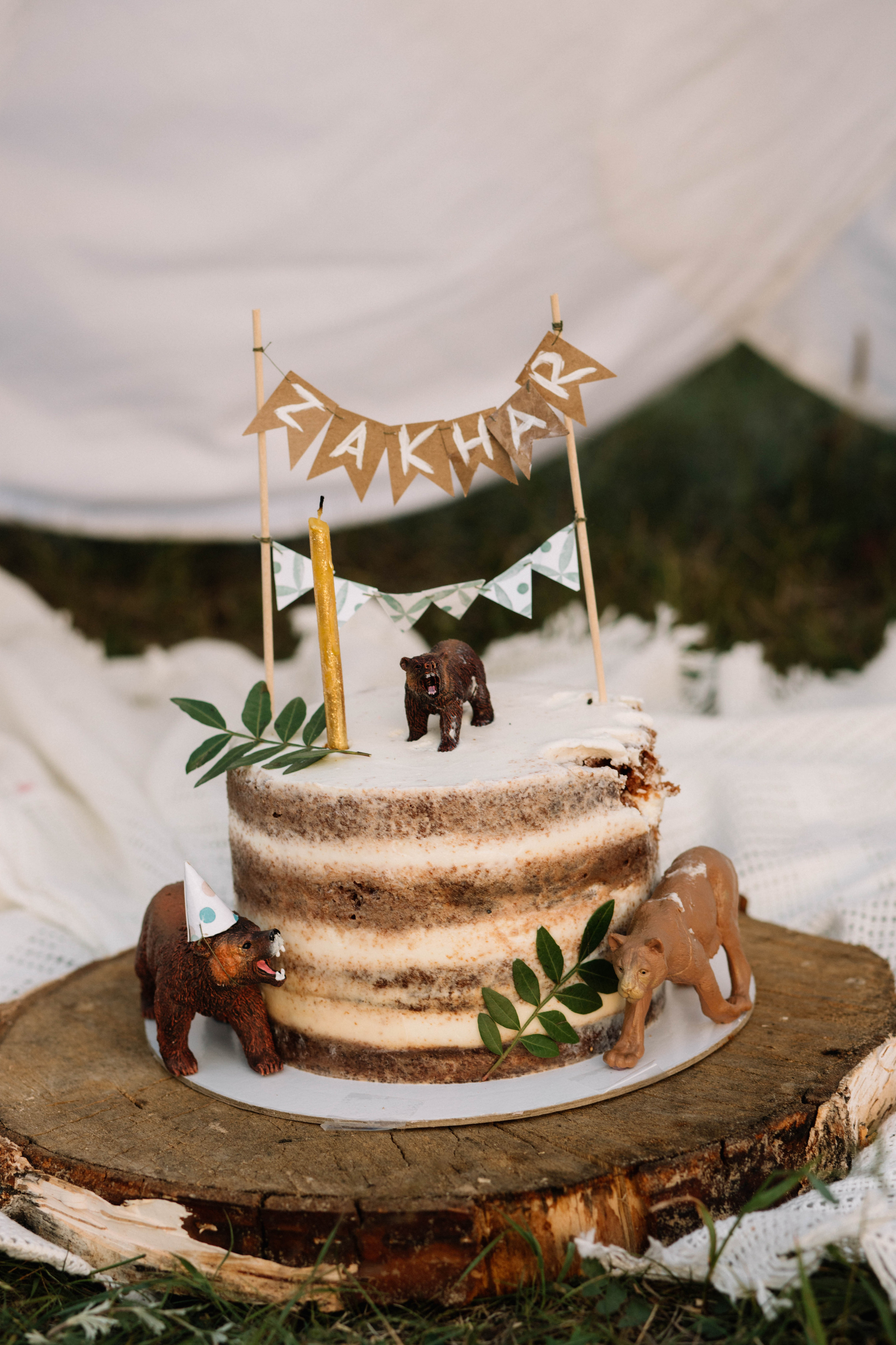 🌿ZAKHAR🌿 IS 🌿ONE 🌿. Фотограф Регина Даниловна Усть — Катав