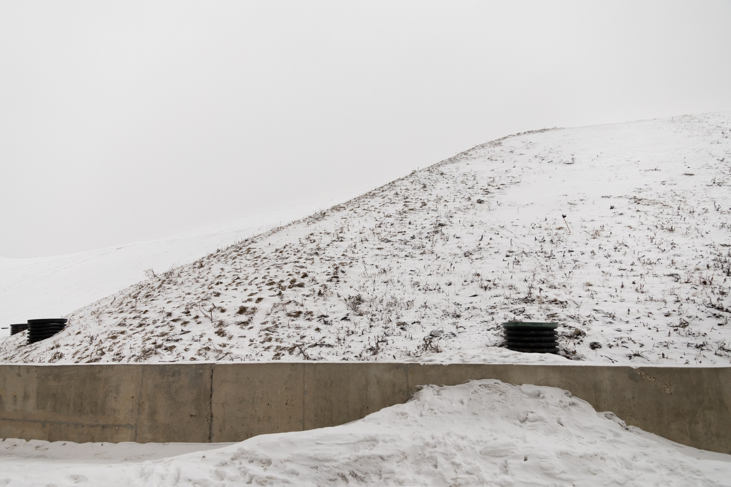 Я здесь живу. DASHA KALNINA