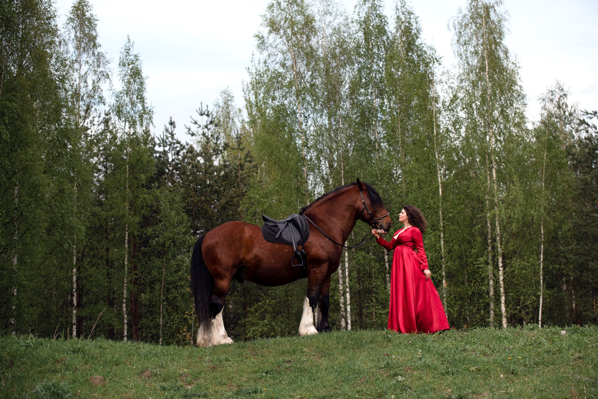 Портрет, лошадь, фото с лошадью, фото лошади, фотография лошади, съемка лошадей, фотограф лошадей, конная фотография, конный фотограф, конный фотограф в спб, съемки с лошадьми, фотограф спб, фотосессия с лошадьми,  лето, летняя фотосессия,  фото с лошадью,  фотосессии с лошадьми спб, фотосессия в поле, фотографироваться с лошадью, сфотографироваться с лошадкой, женская фотосессия, девушка с лошадью, женский портрет, женский фотограф