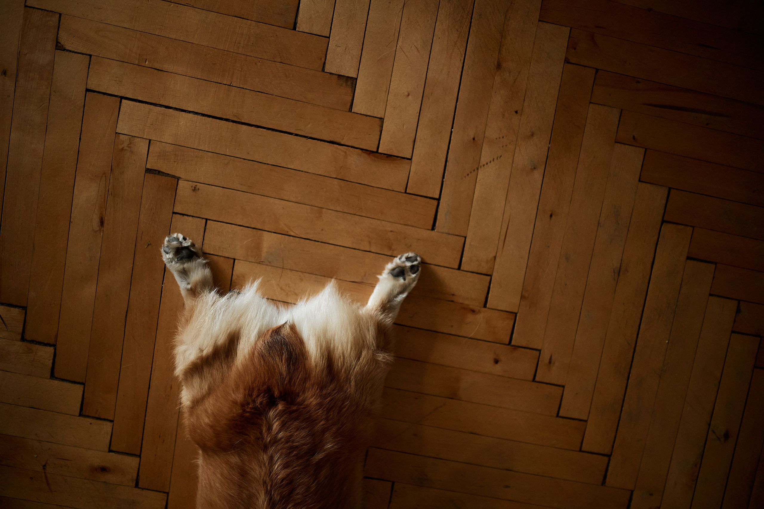 Дима и Алина. Свадебный фотограф в Москве Николай Болт