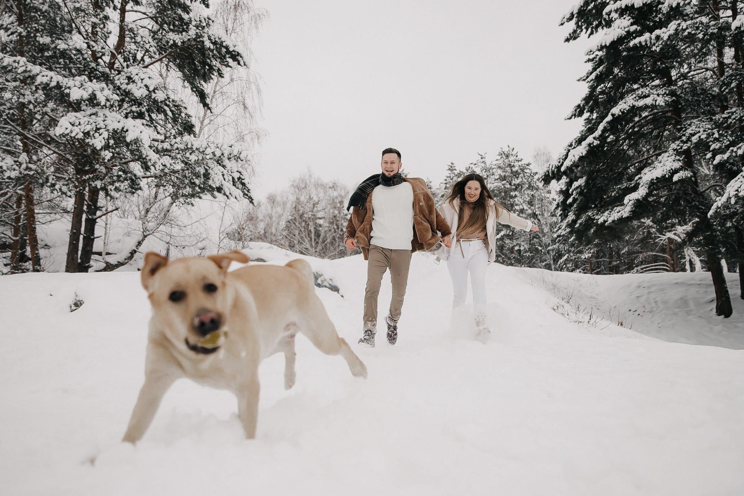 Эля, Артур, Арчи и Шкира. Семейный и свадебный фотограф в Челябинске Юлия Софьина