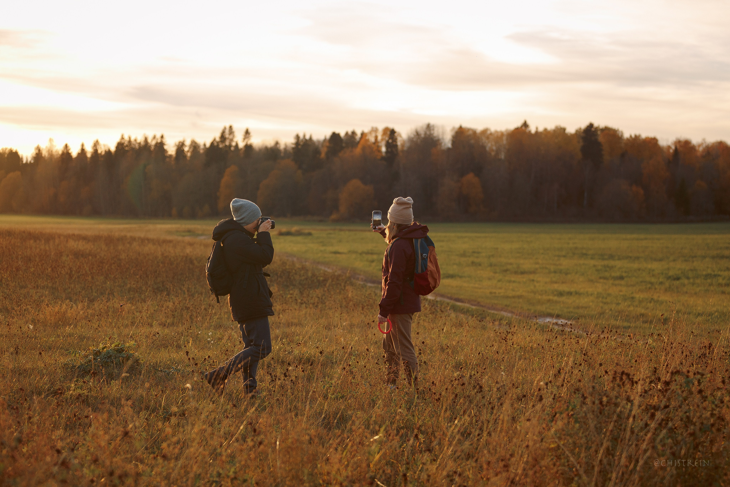 Октябрьский закат в полях. Алина и Лео. Фотограф-анималист Наталия Чистюхина в г. Сосновый Бор и ЛО
