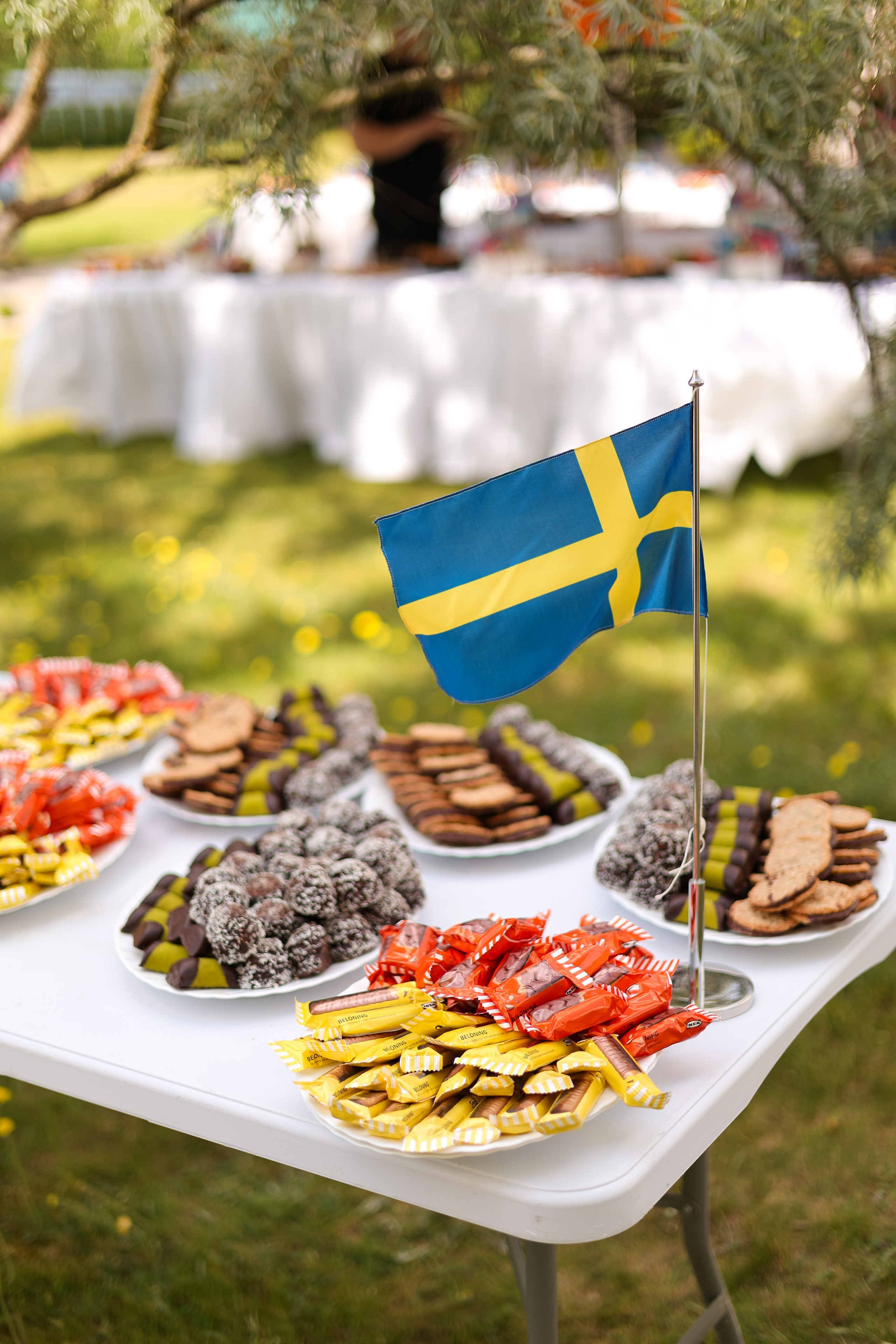 Благотворительный проект в Caritas. Свадебный фотограф Беларусь Ольга Козыренко