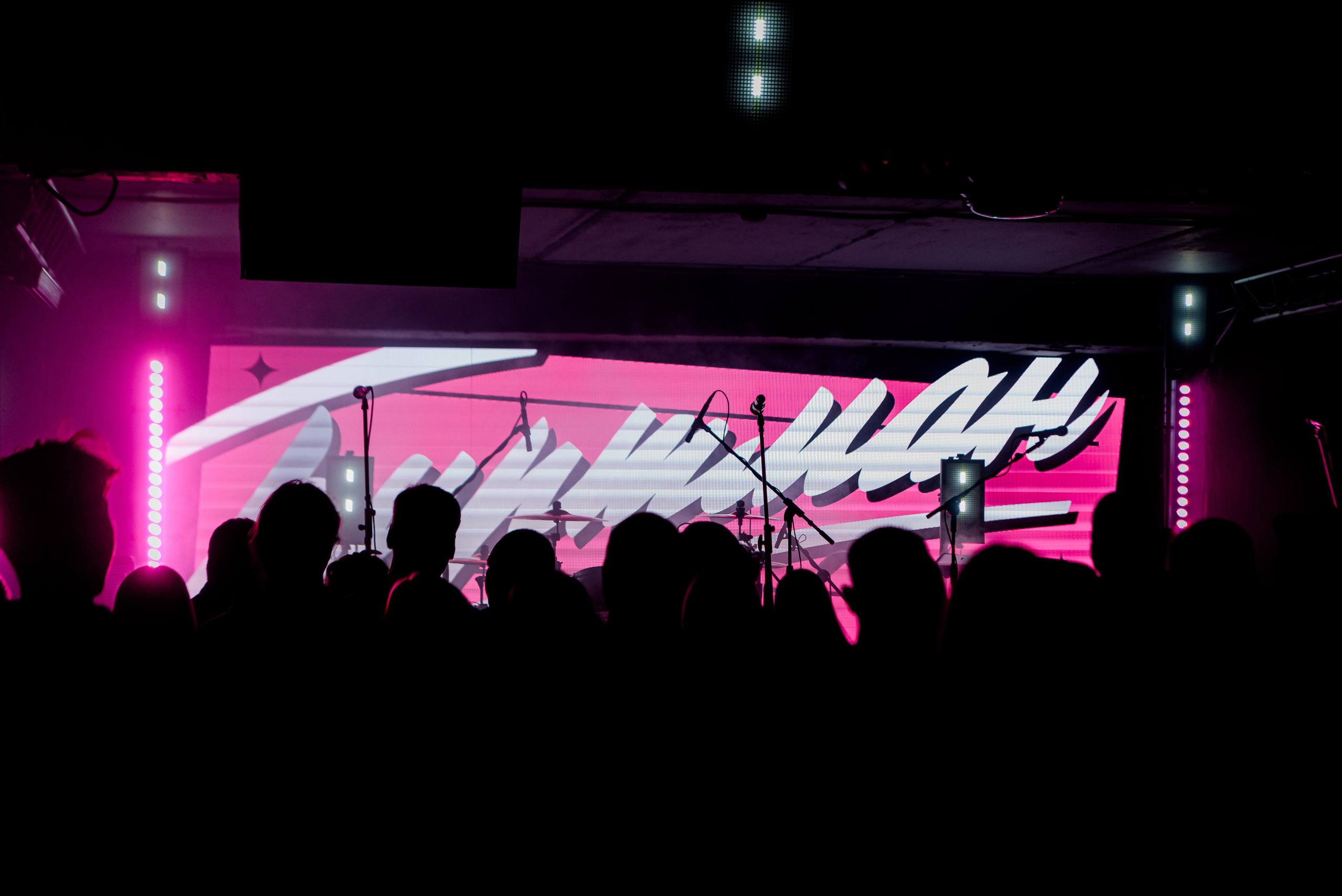 Концерт Биртман. Культура. Волгоград. Фотограф в Волгограде и Волжском Александр Горбань