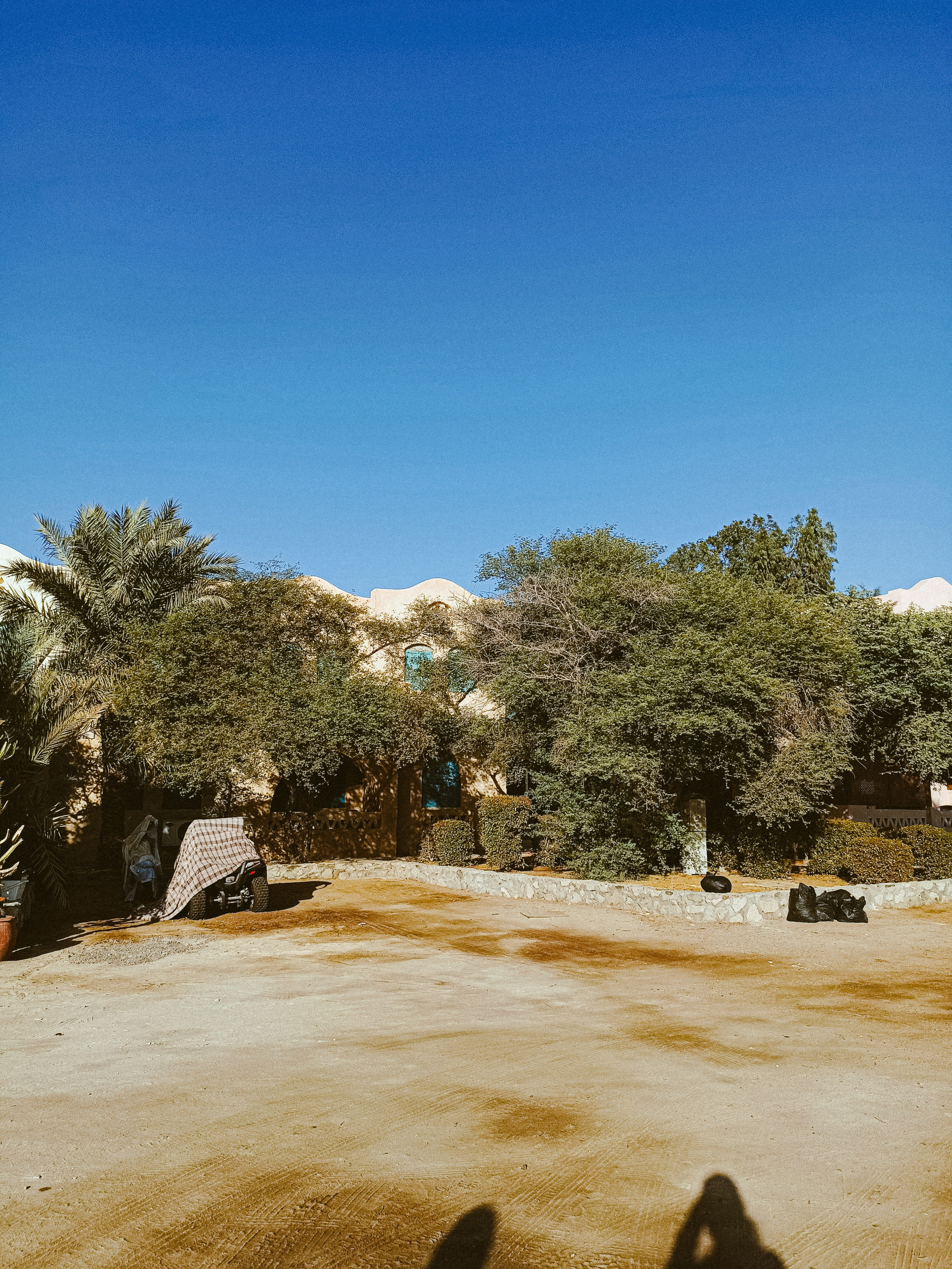 Мобильная. Jorgis — фотограф в Хургаде / обучение фотографии