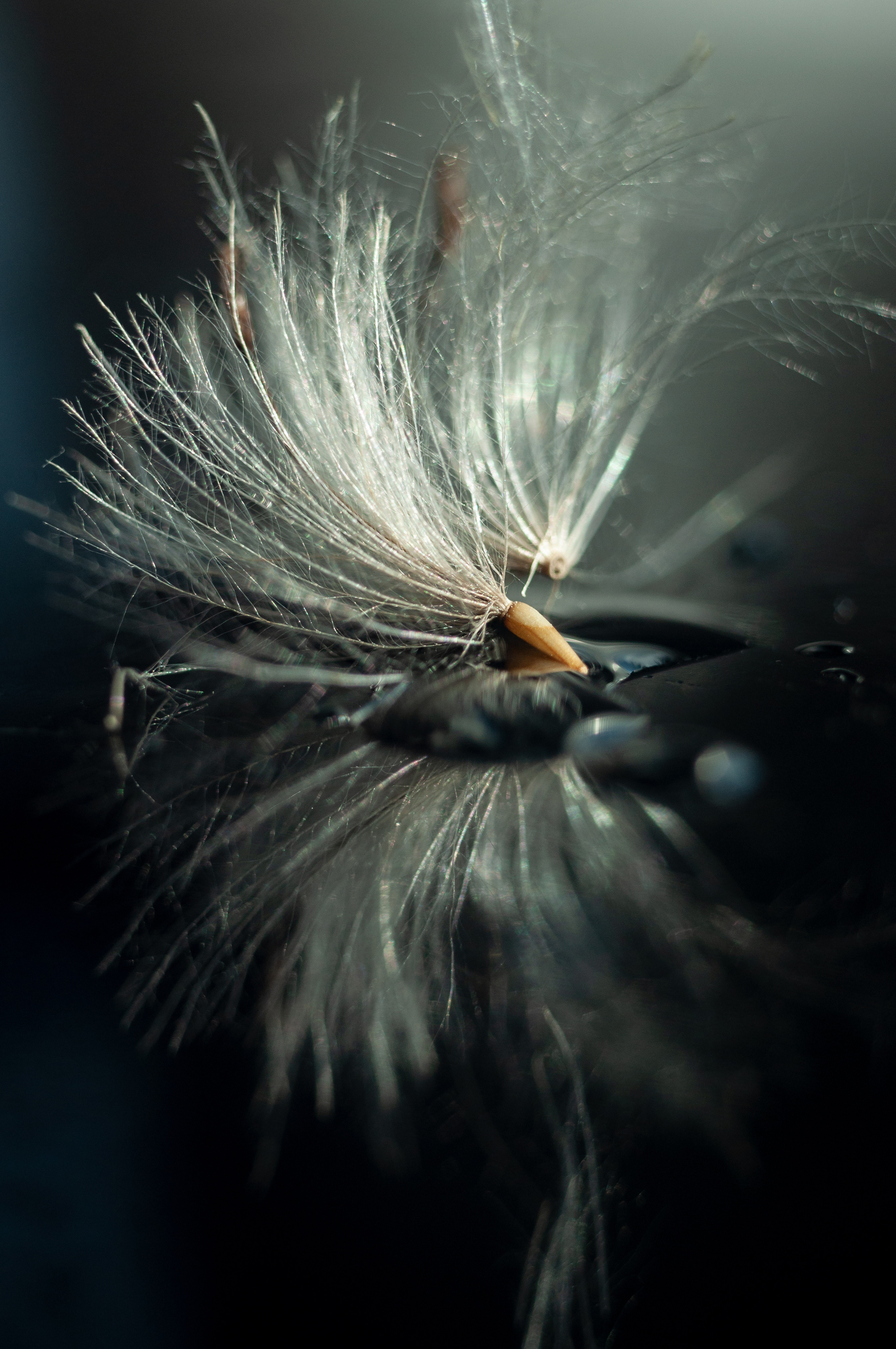 заставка на телефон