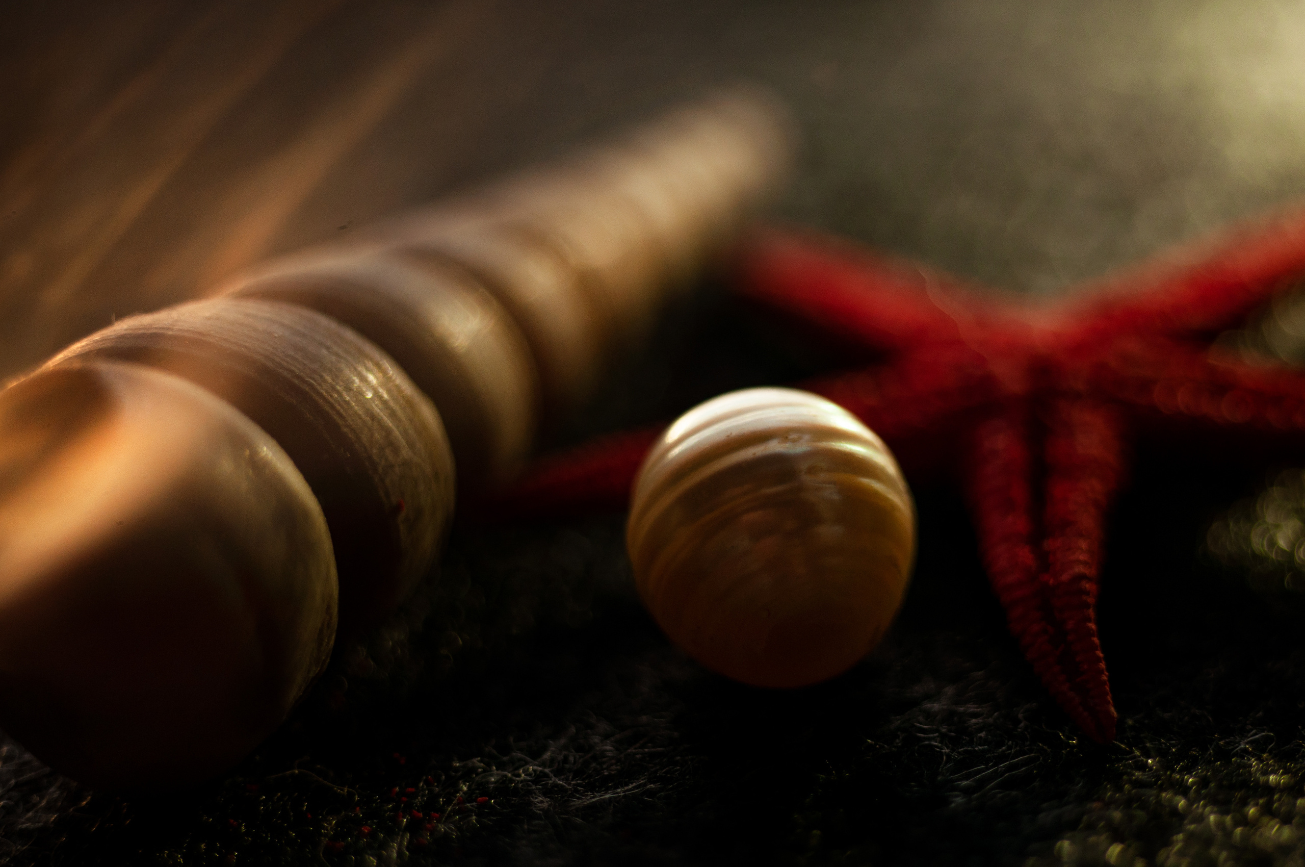 морские ракушки