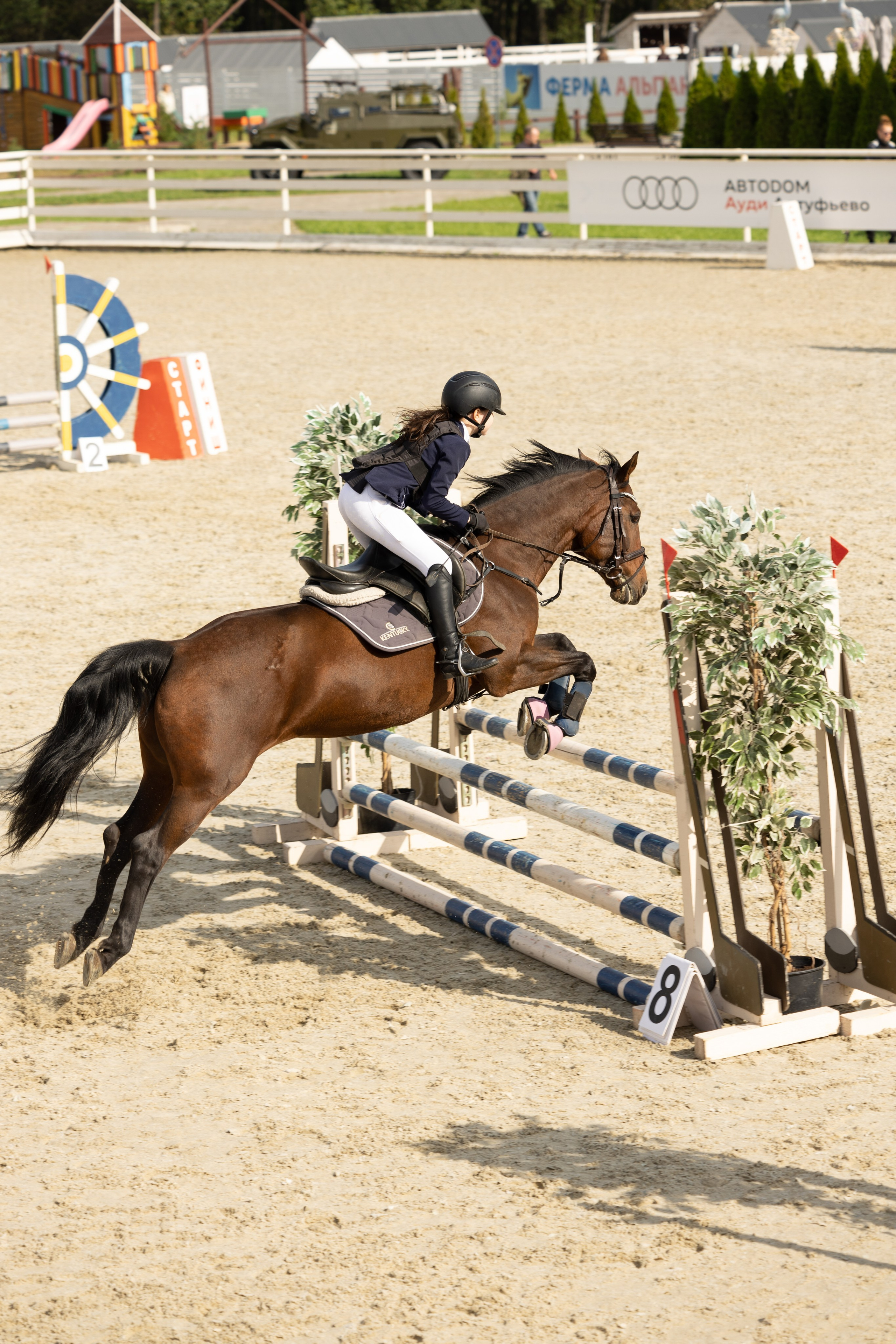 Соревнования по конкуру. Фотограф в Москве Светлана Богначева