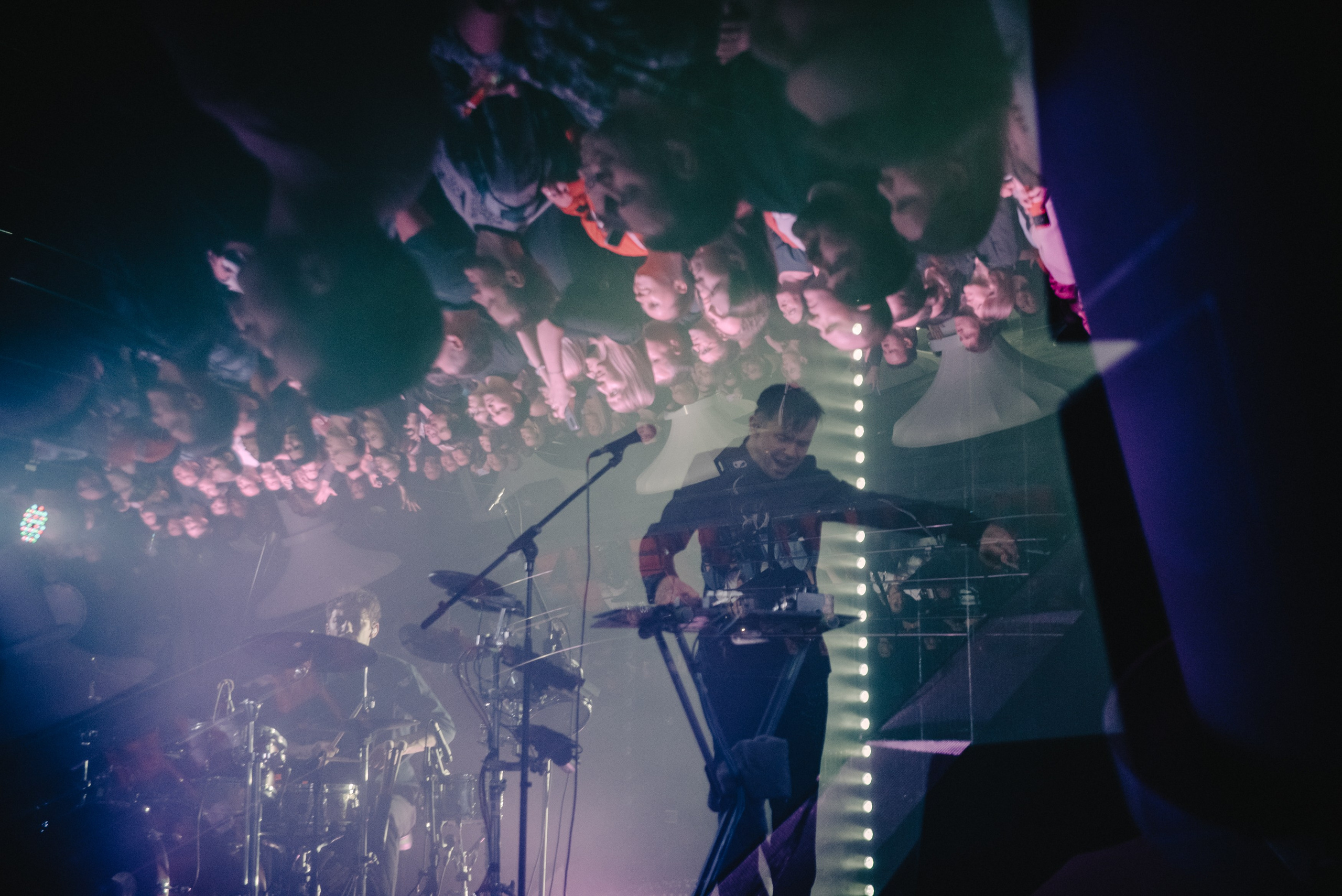 Дельфин | Gaudi. Контент фотограф Илья Урс