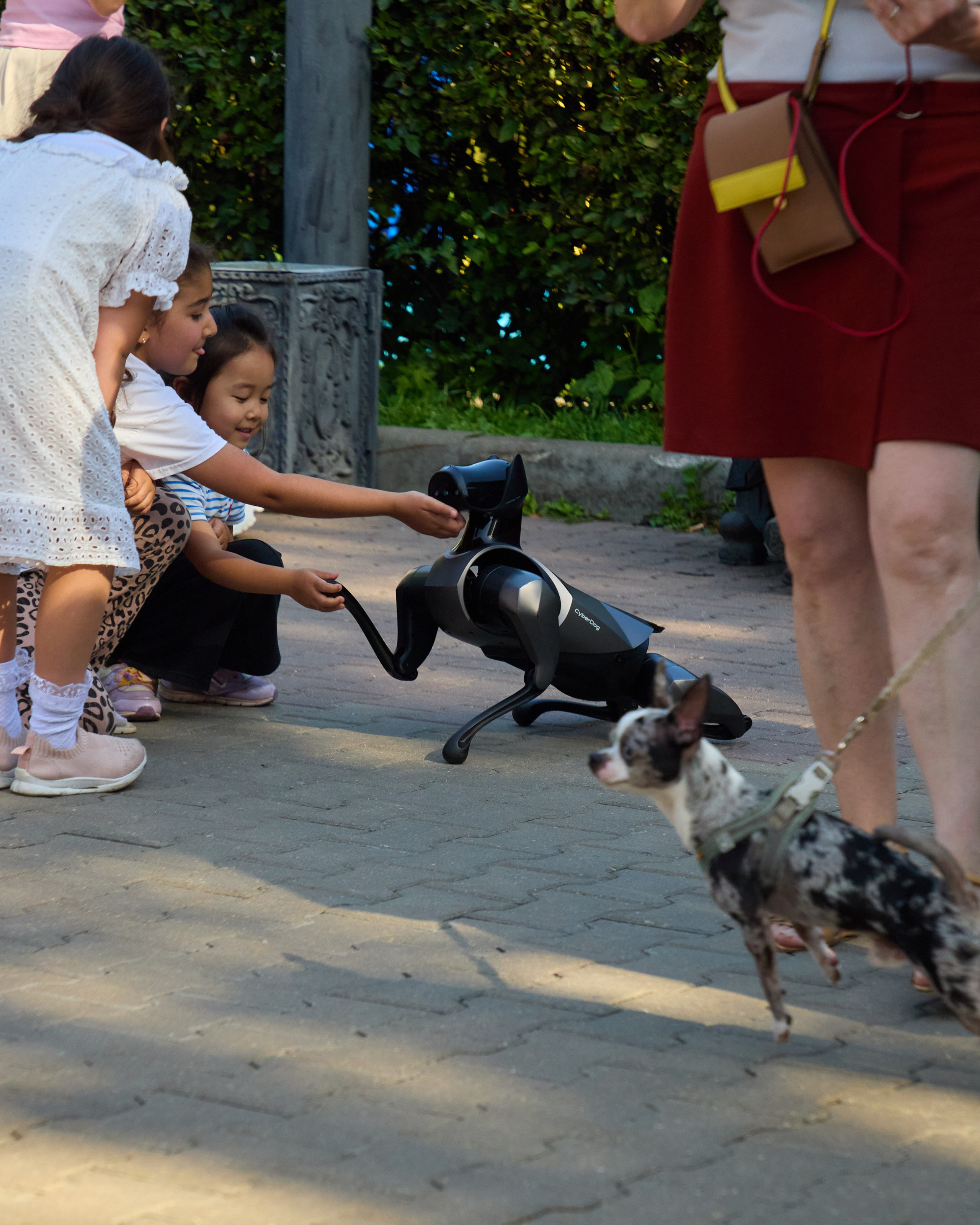 День защиты Питомцев х ТАСС х Союз ветеринаров. Святослав Лебедев | Рекламный фотограф — Коммерческая съемка, Арт-дирекшн, AI-интеграция
