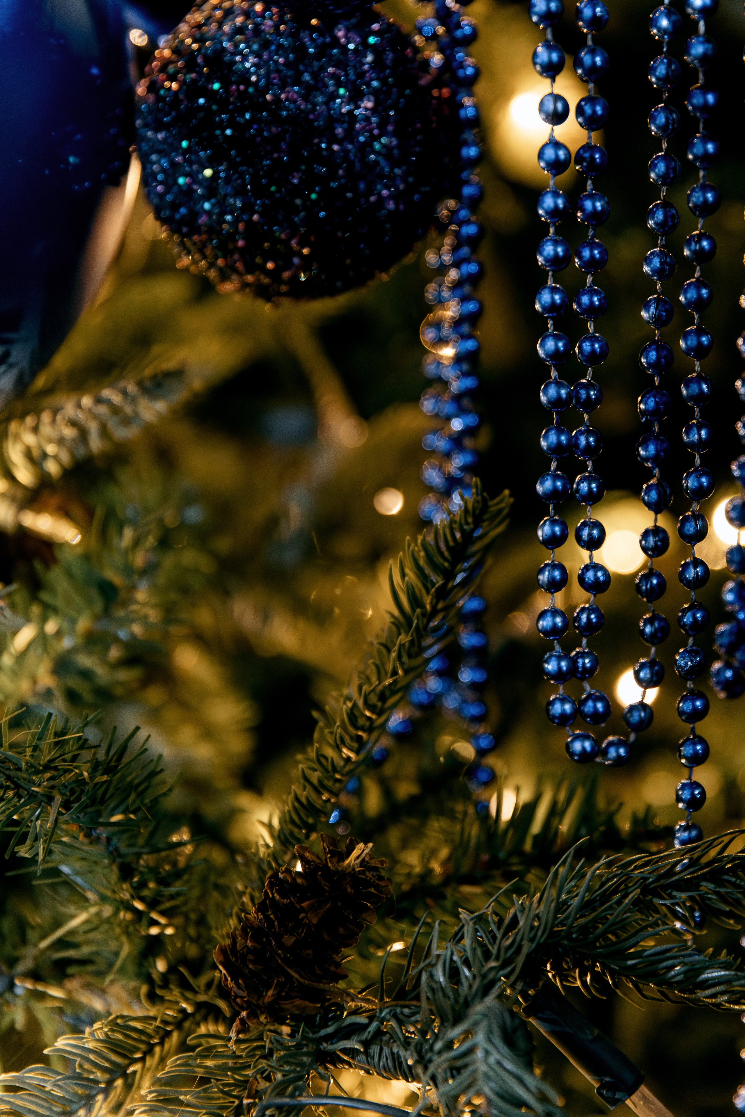 COLLA GEN. Фотограф в Красноярске