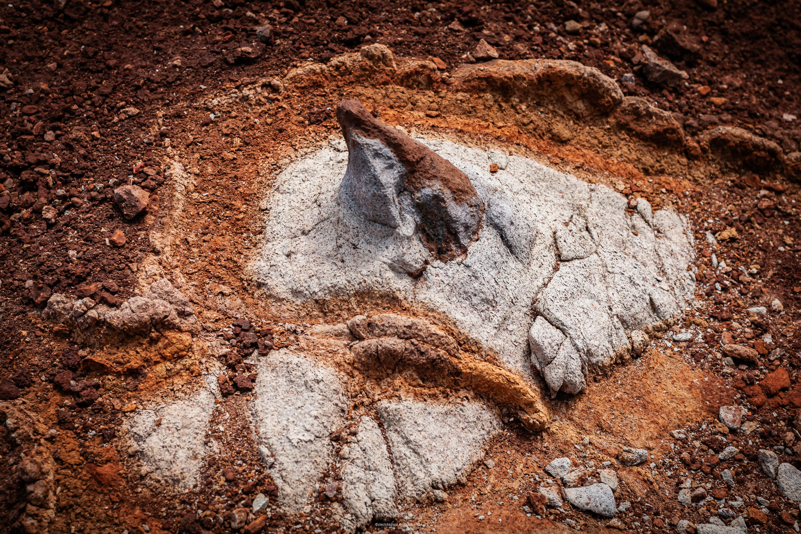 Осязаемая красота. Авторские стильные фотокартины