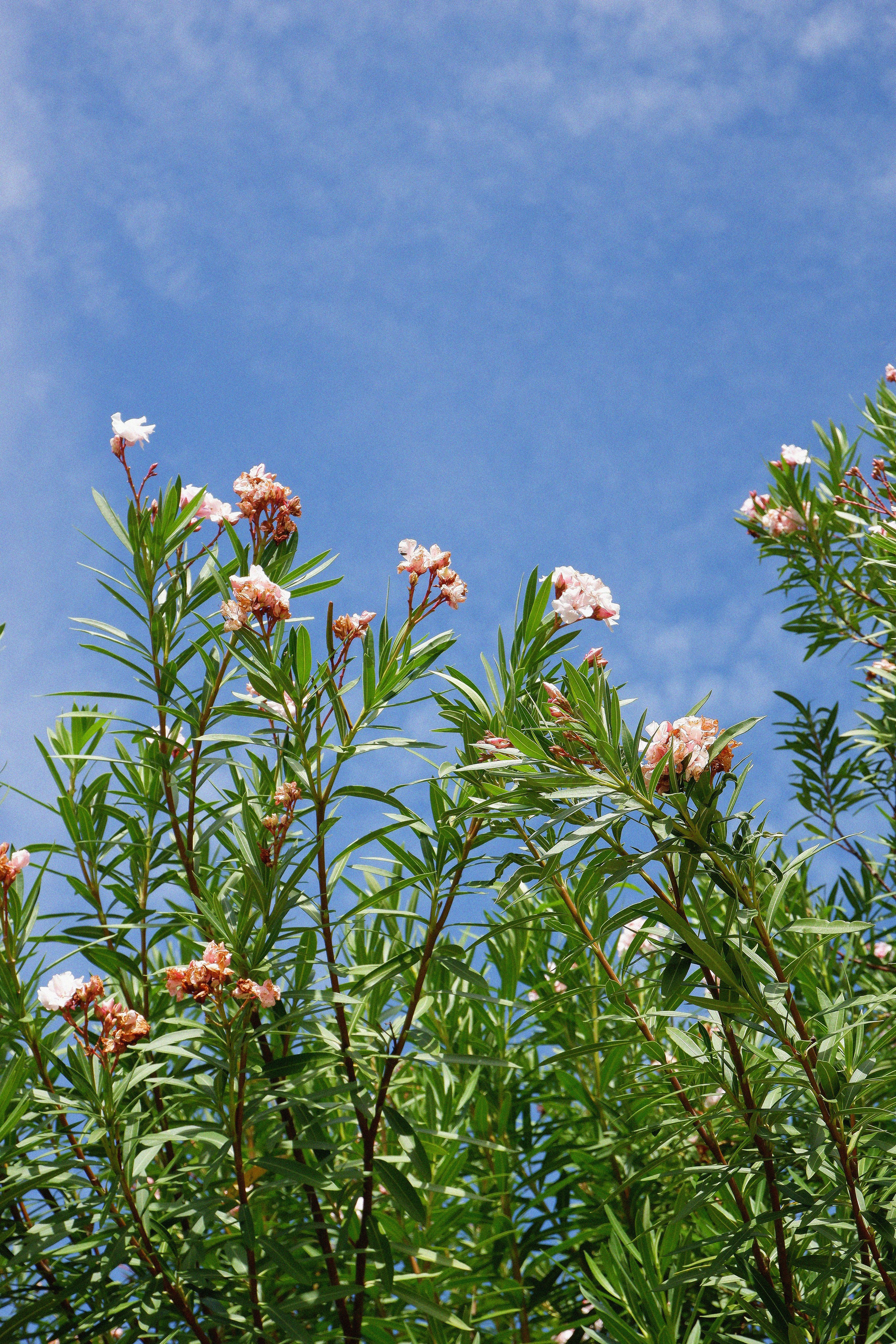 MALDIVES&BAHRAIN. ANNA — PHOTOGRAPHER