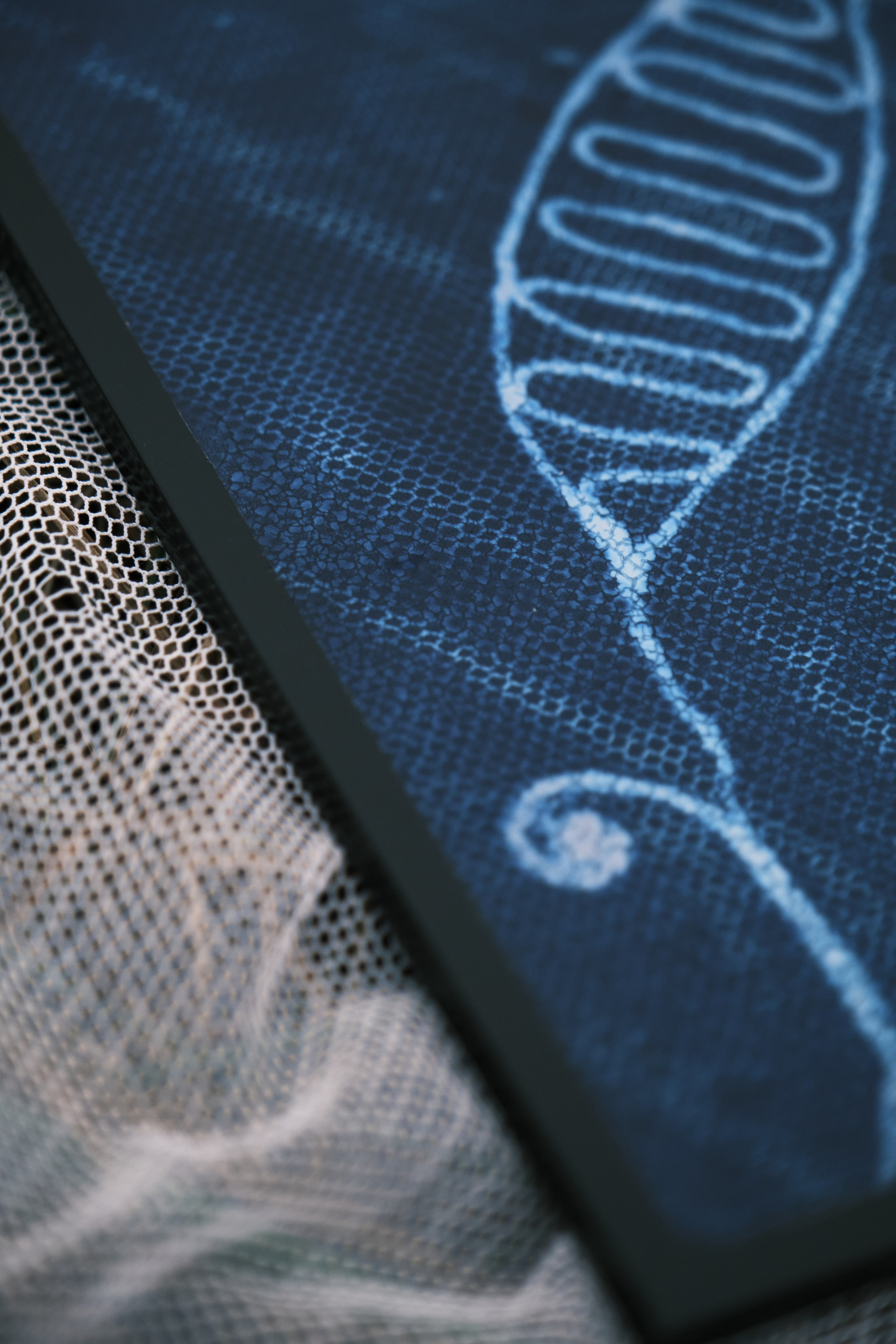 Alternative processe. Maria Norden